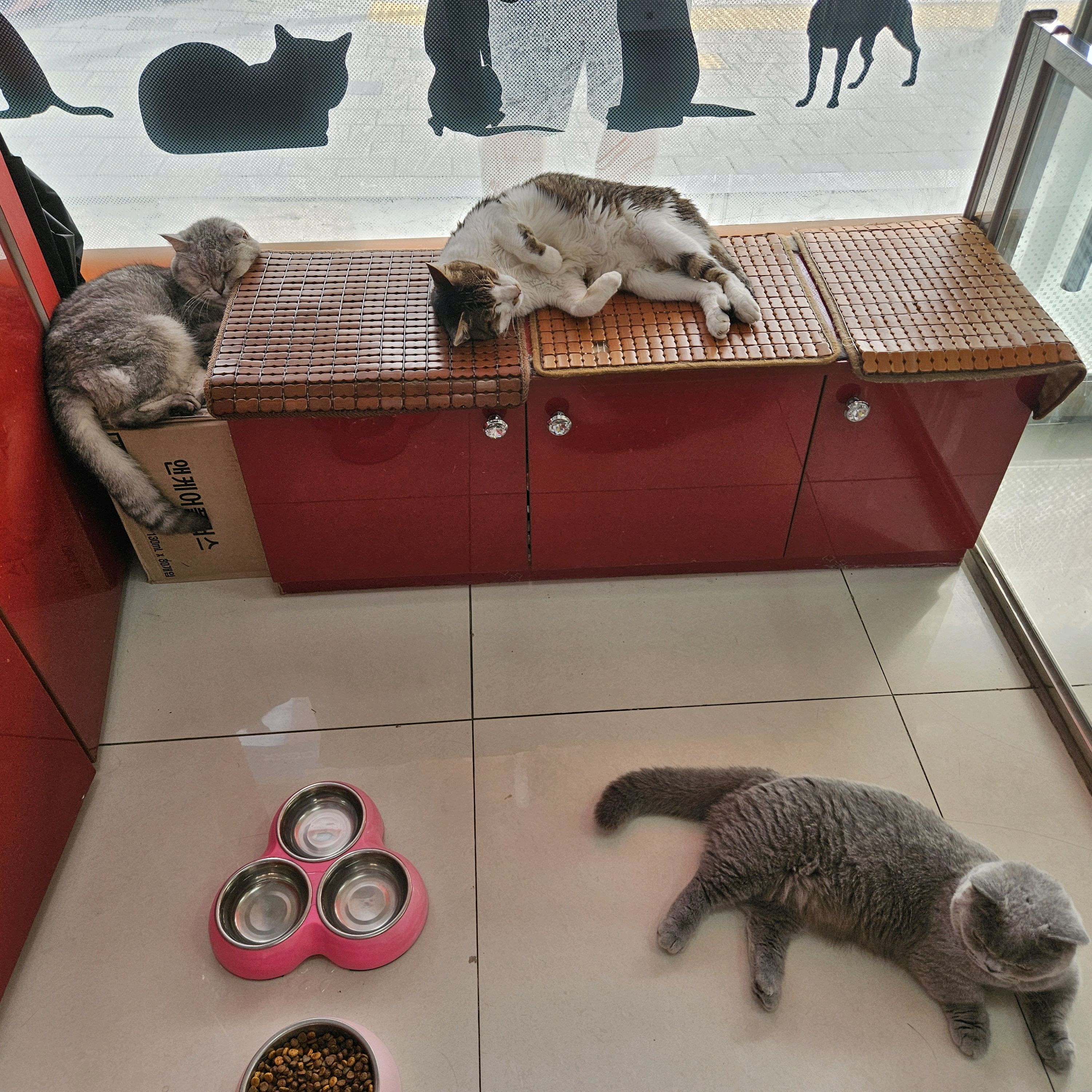 리뷰 사진 1
