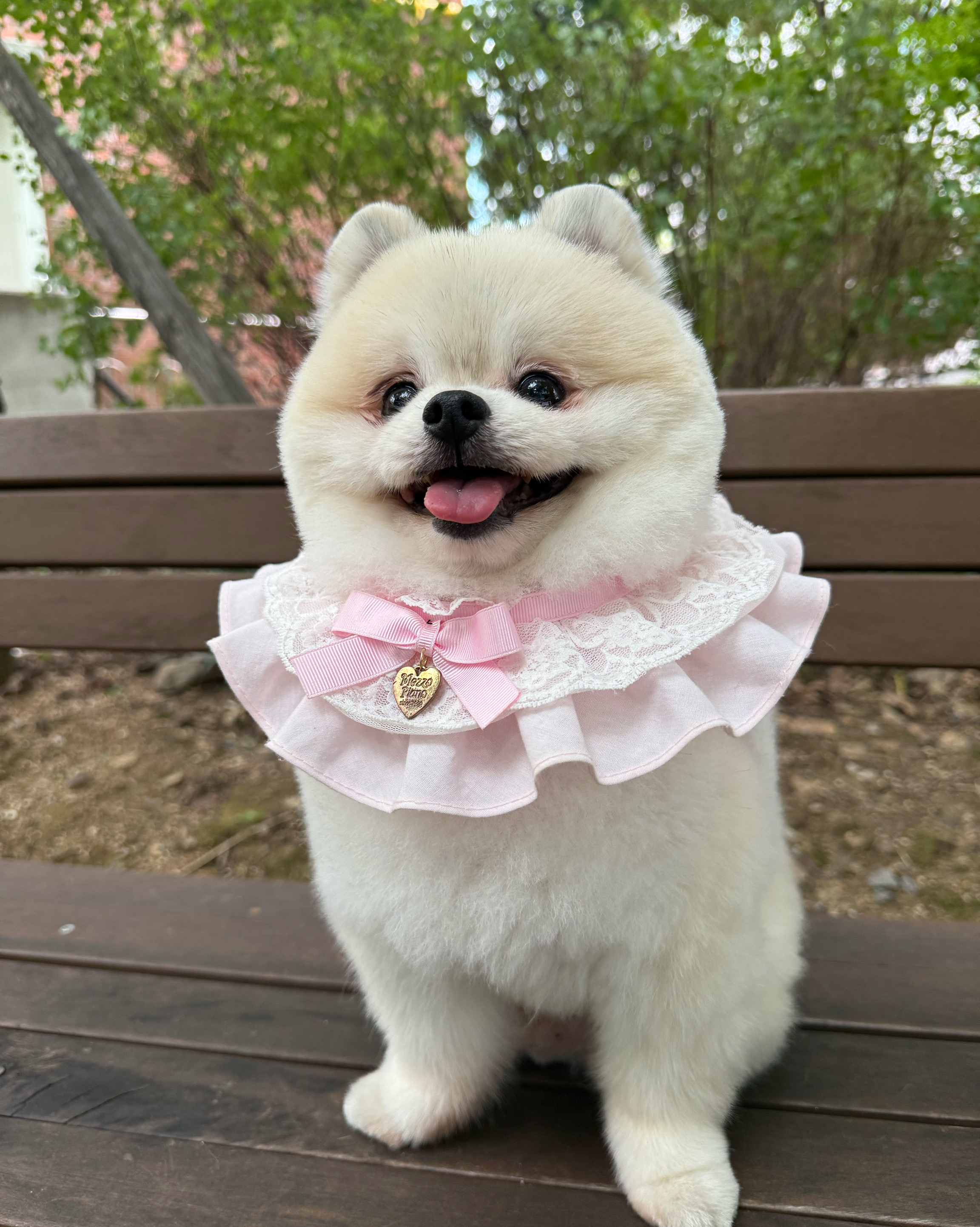 리뷰 사진 2