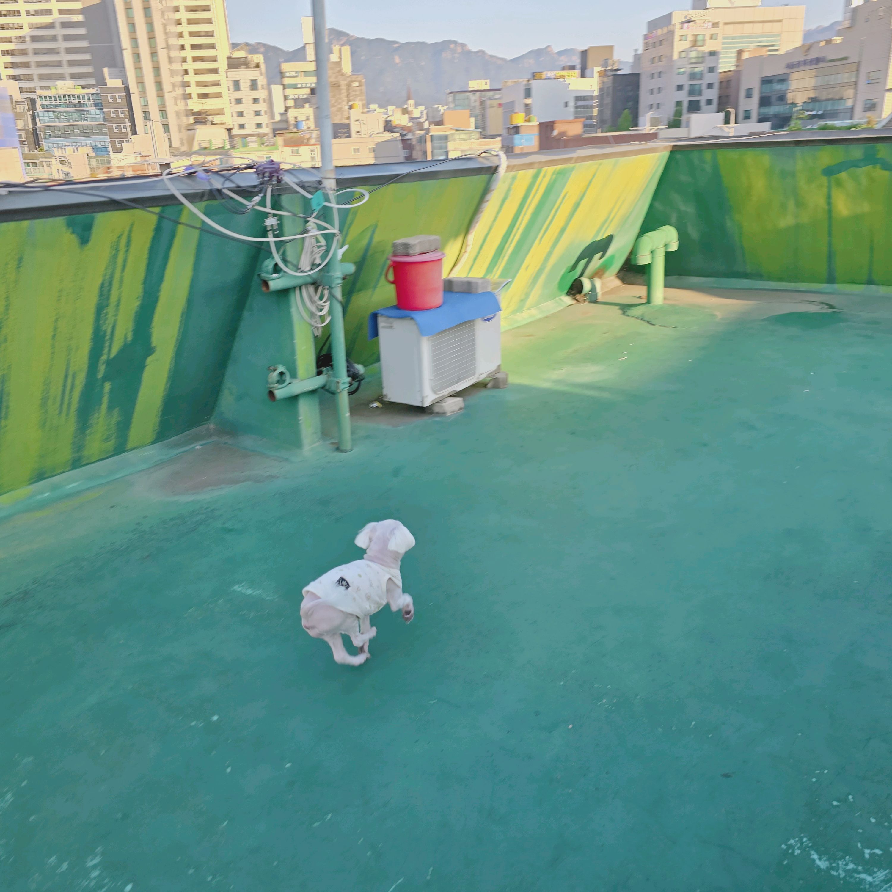 리뷰 사진 4