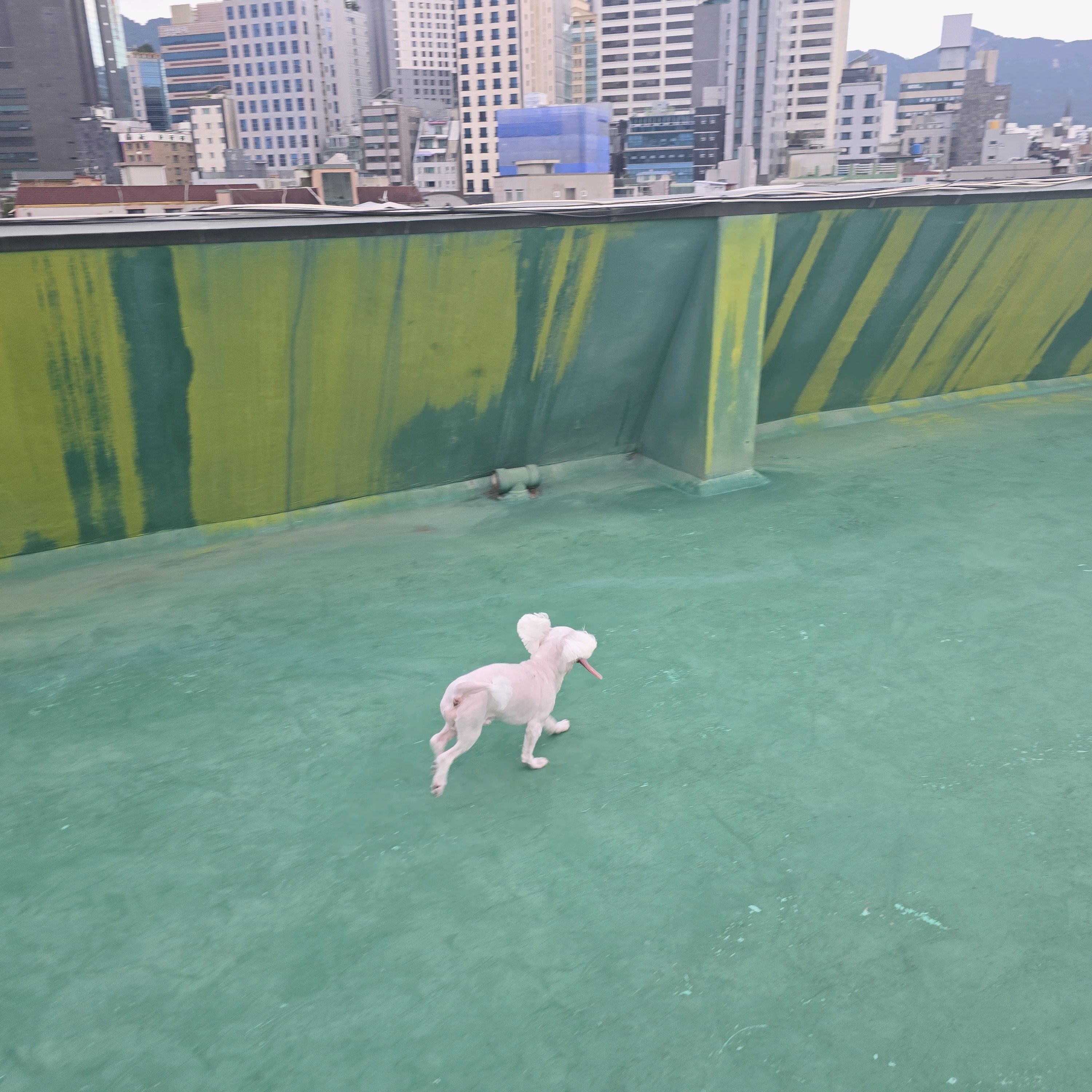 리뷰 사진 2
