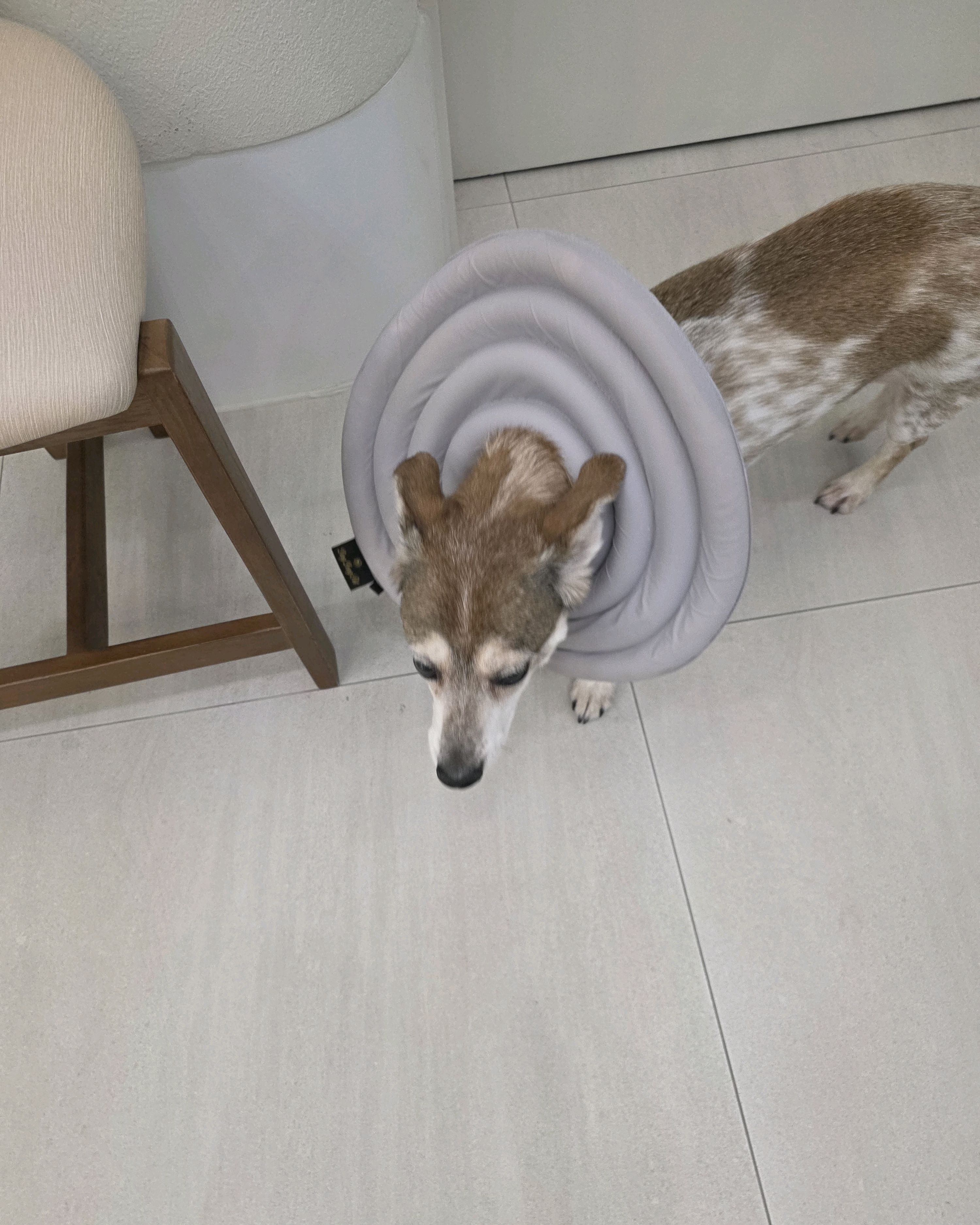 리뷰 사진 3