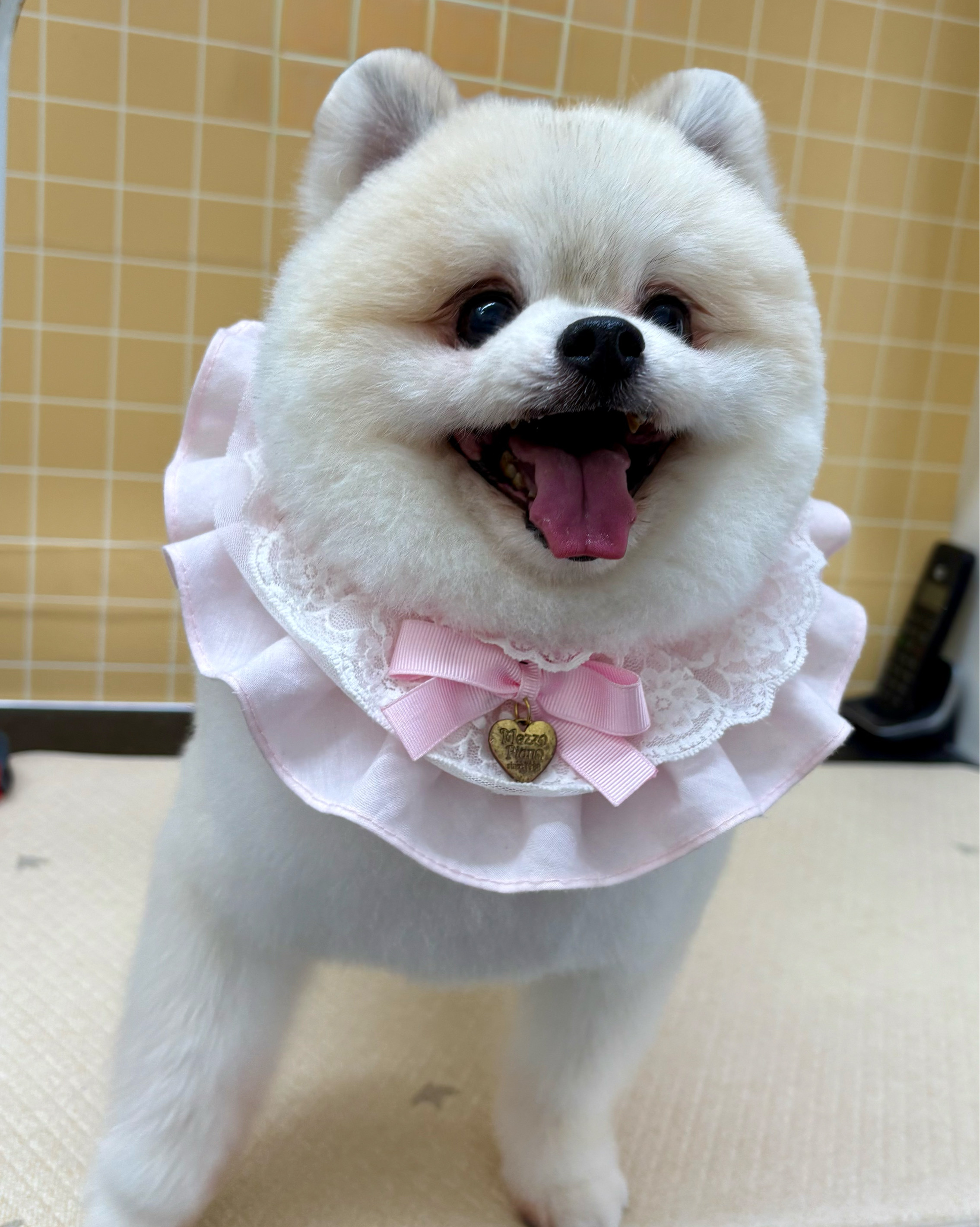 리뷰 사진 1