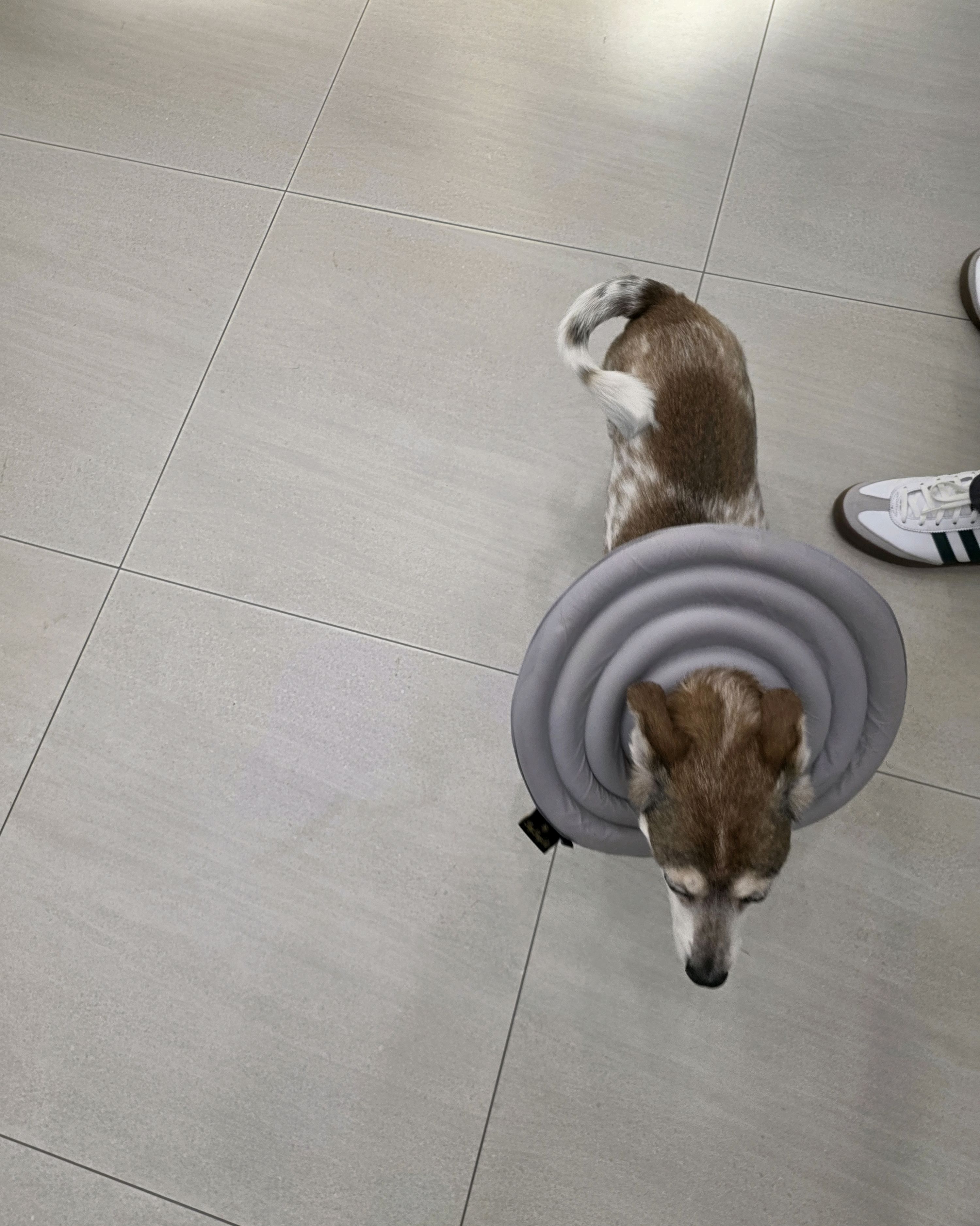 리뷰 사진 4