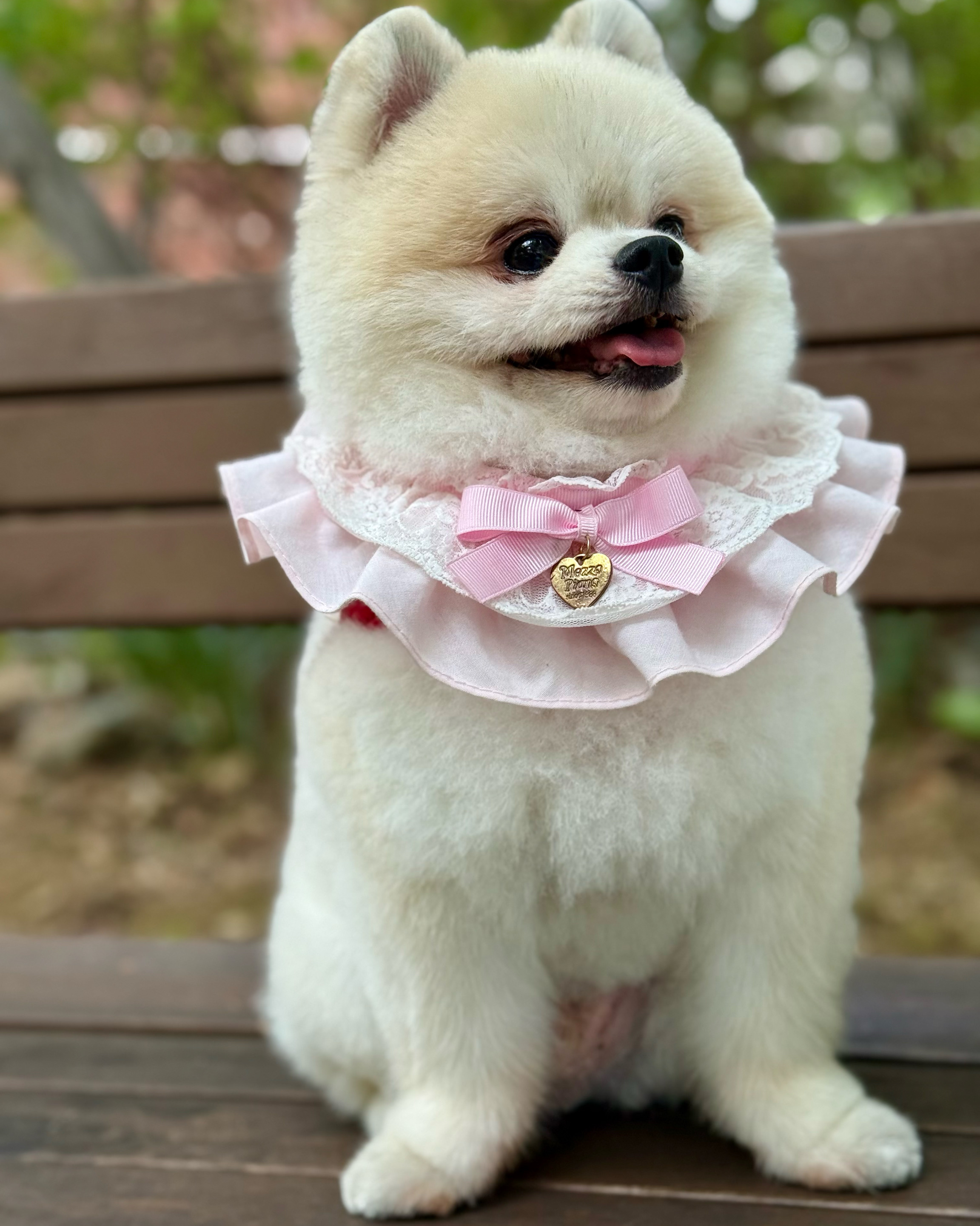 리뷰 사진 4