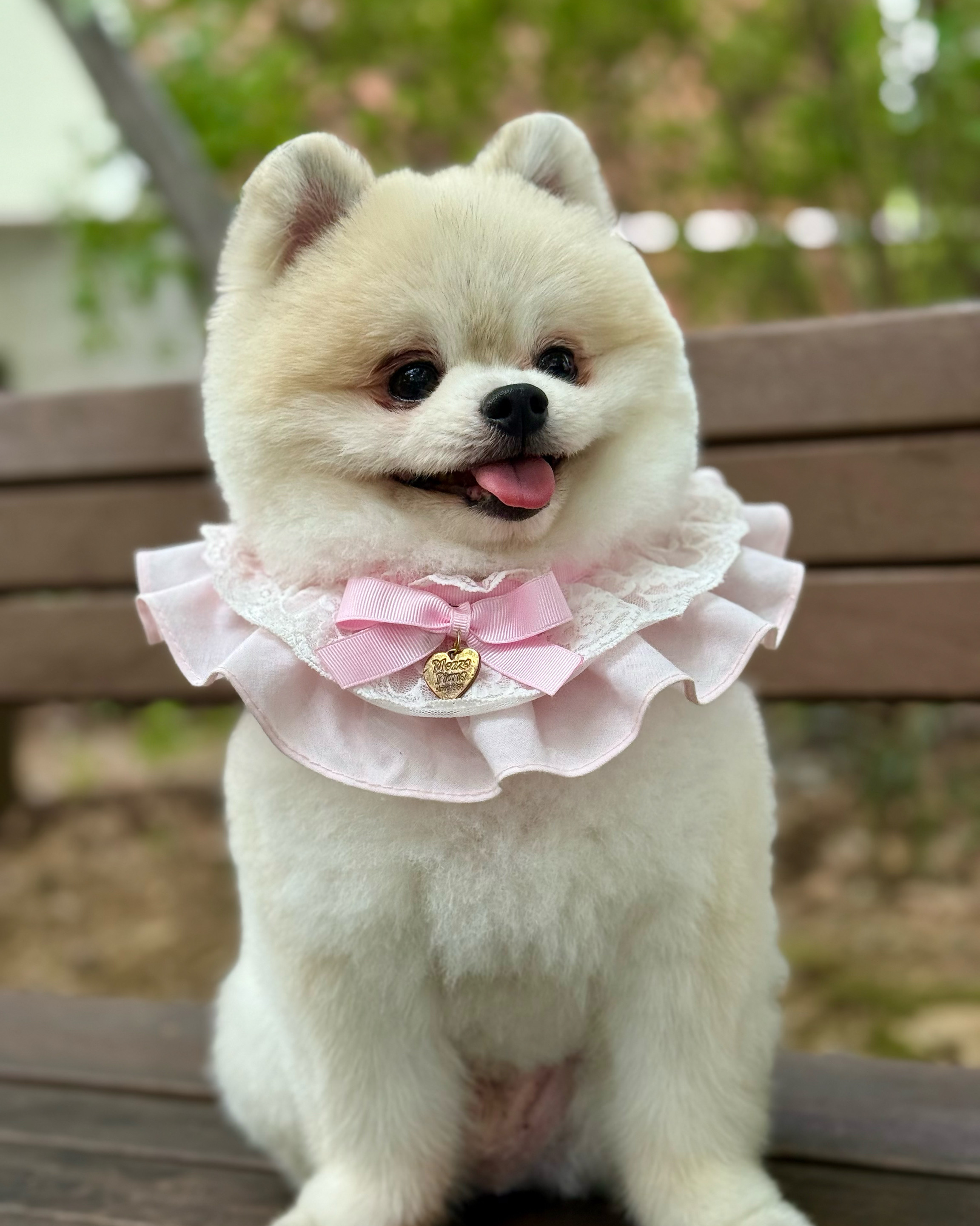 리뷰 사진 5