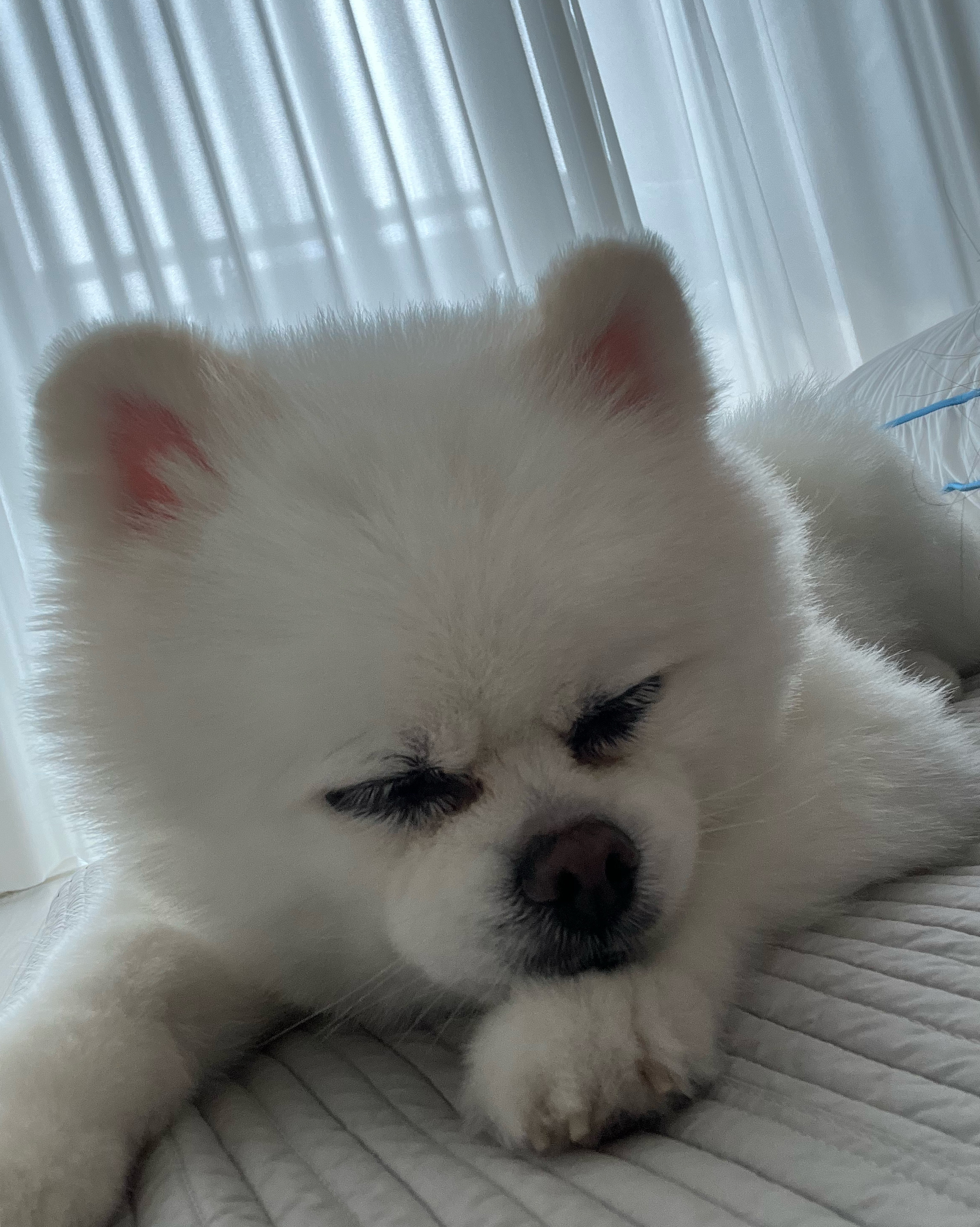 리뷰 사진 2