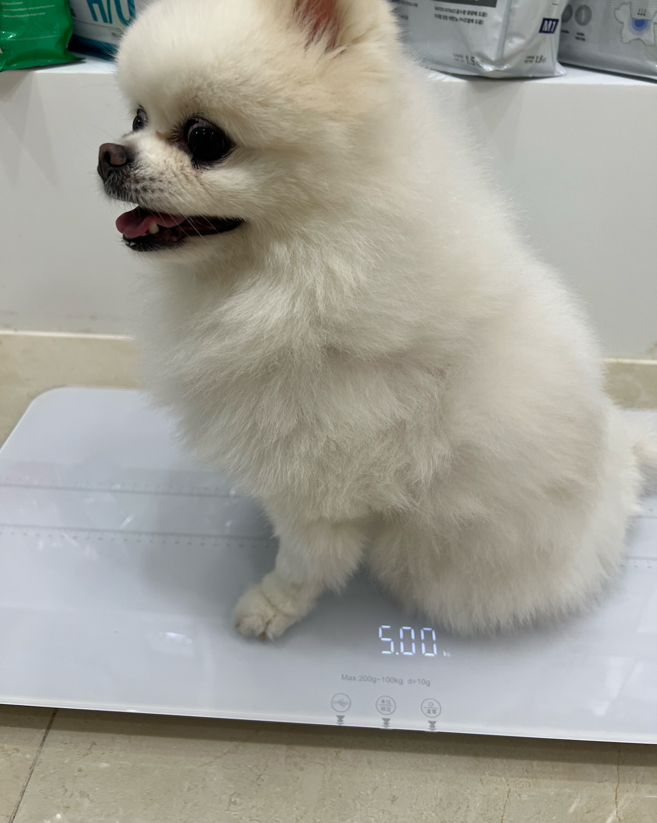 리뷰 사진 1