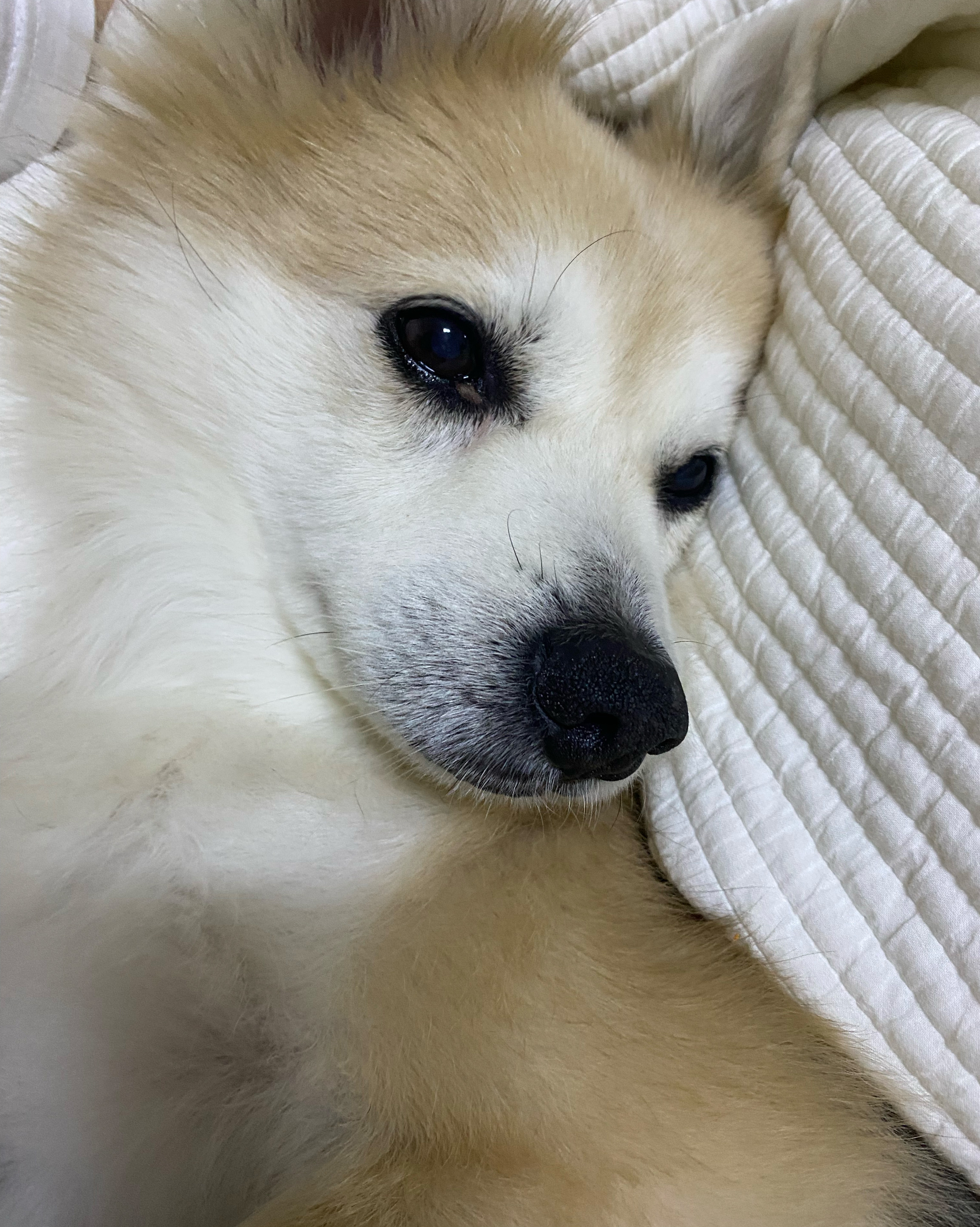 리뷰 사진 1