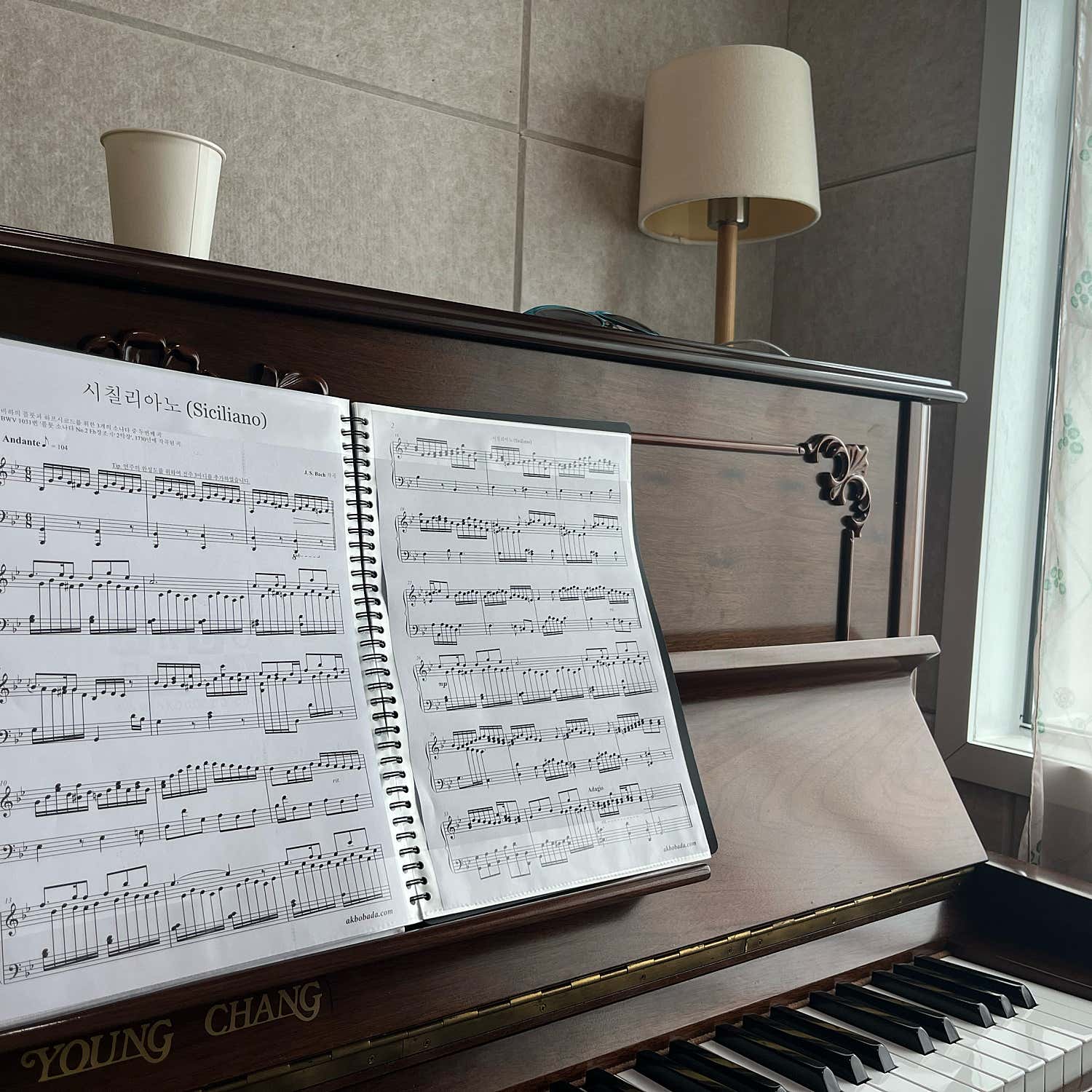 2번째 스튜디오 사진