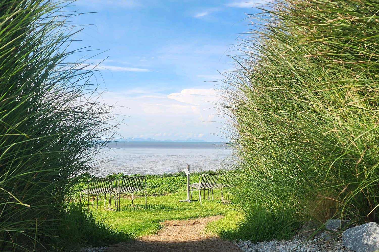 카페보리 앞 웅장한 바다와 나무