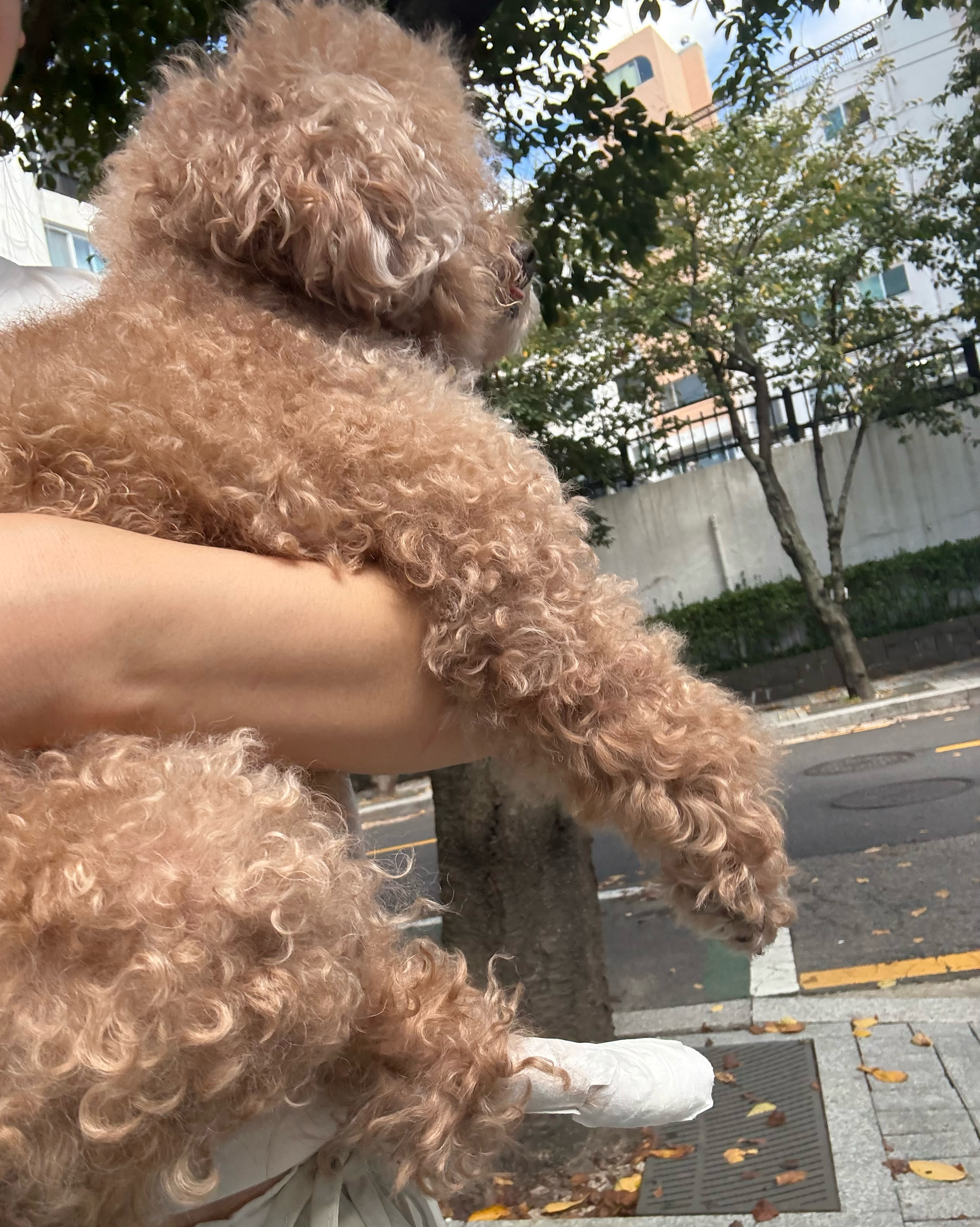 리뷰 사진 1