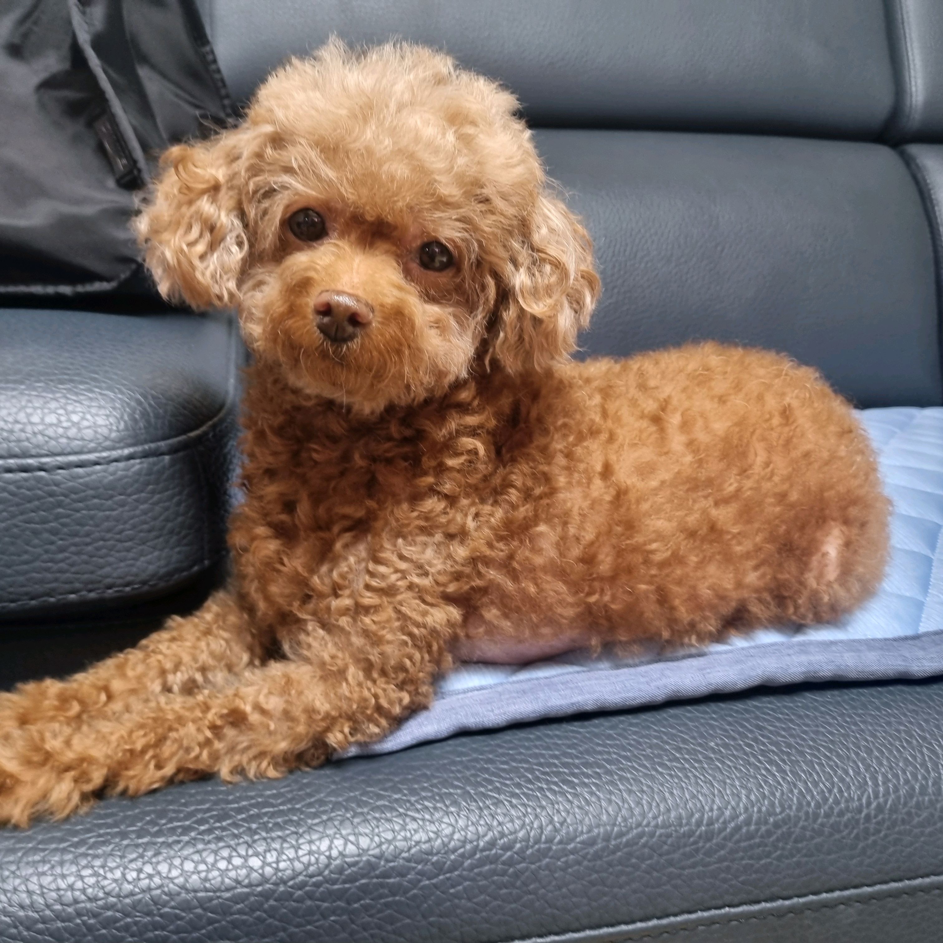 리뷰 사진 2