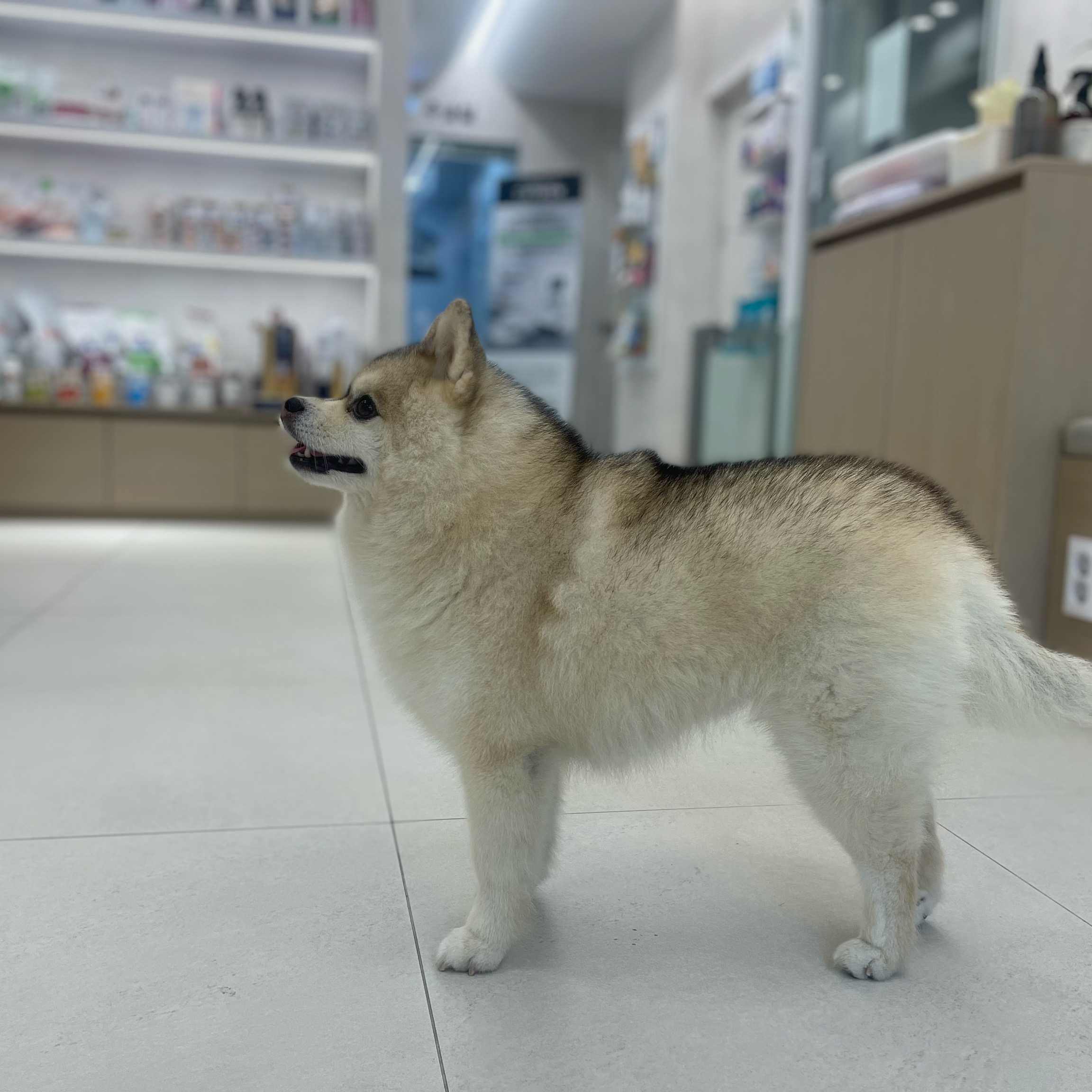 리뷰 사진 1