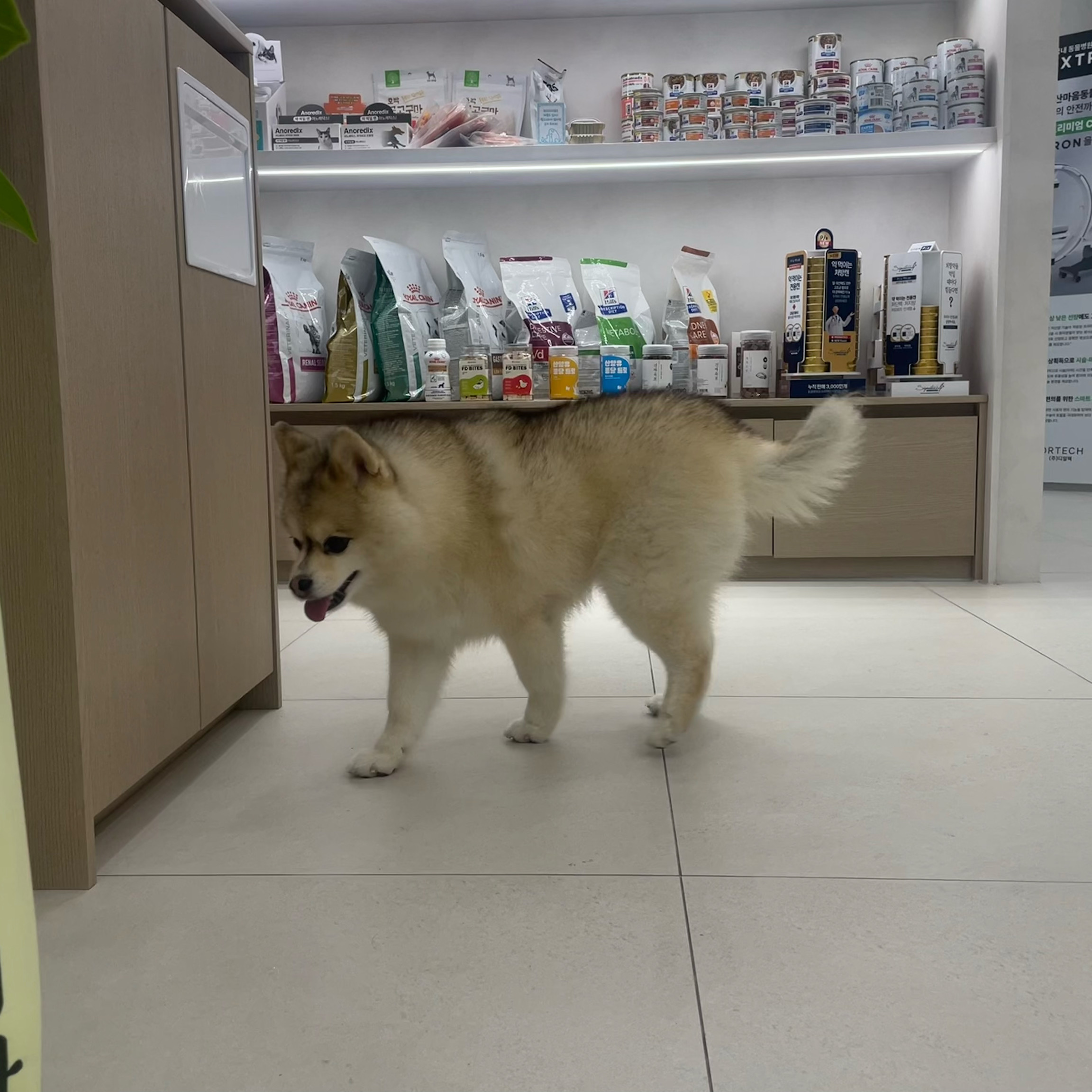 리뷰 사진 2