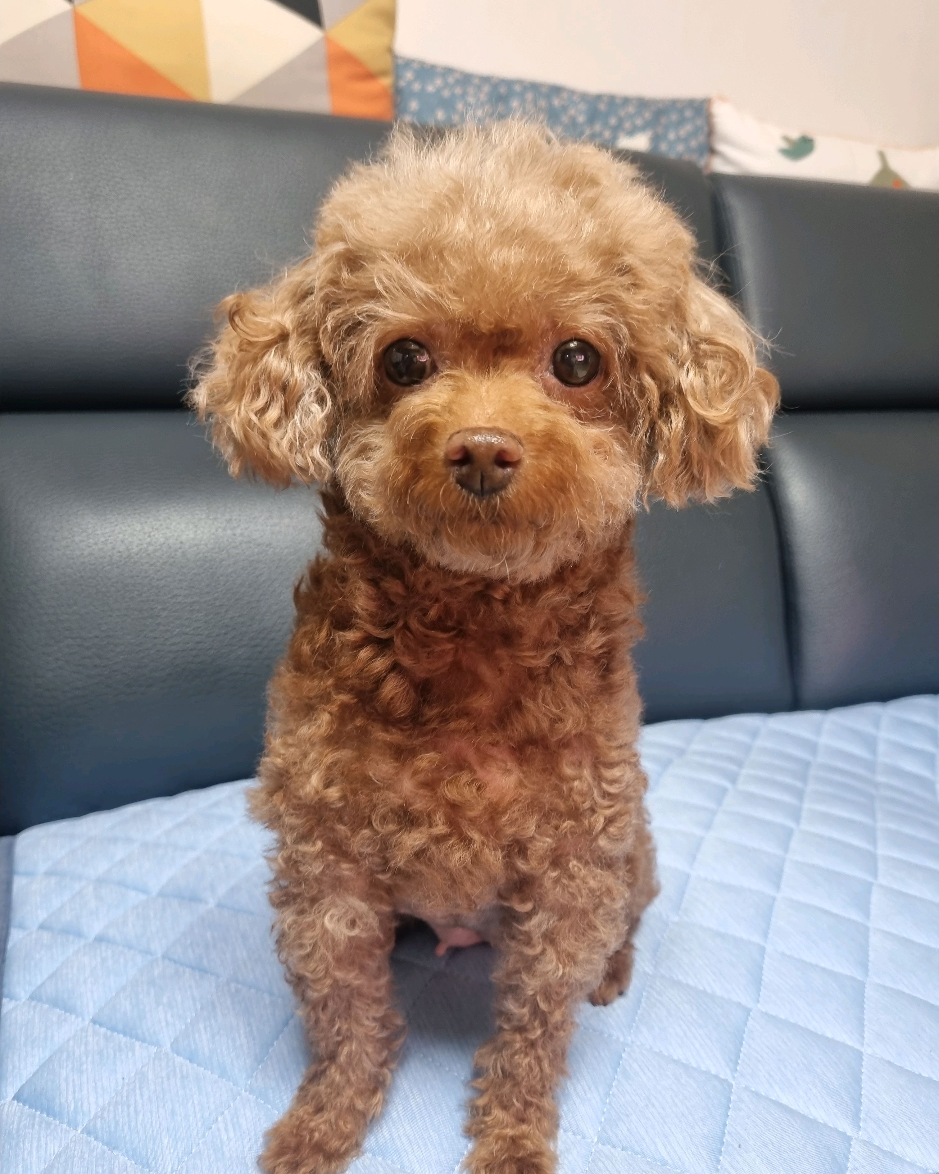 리뷰 사진 1