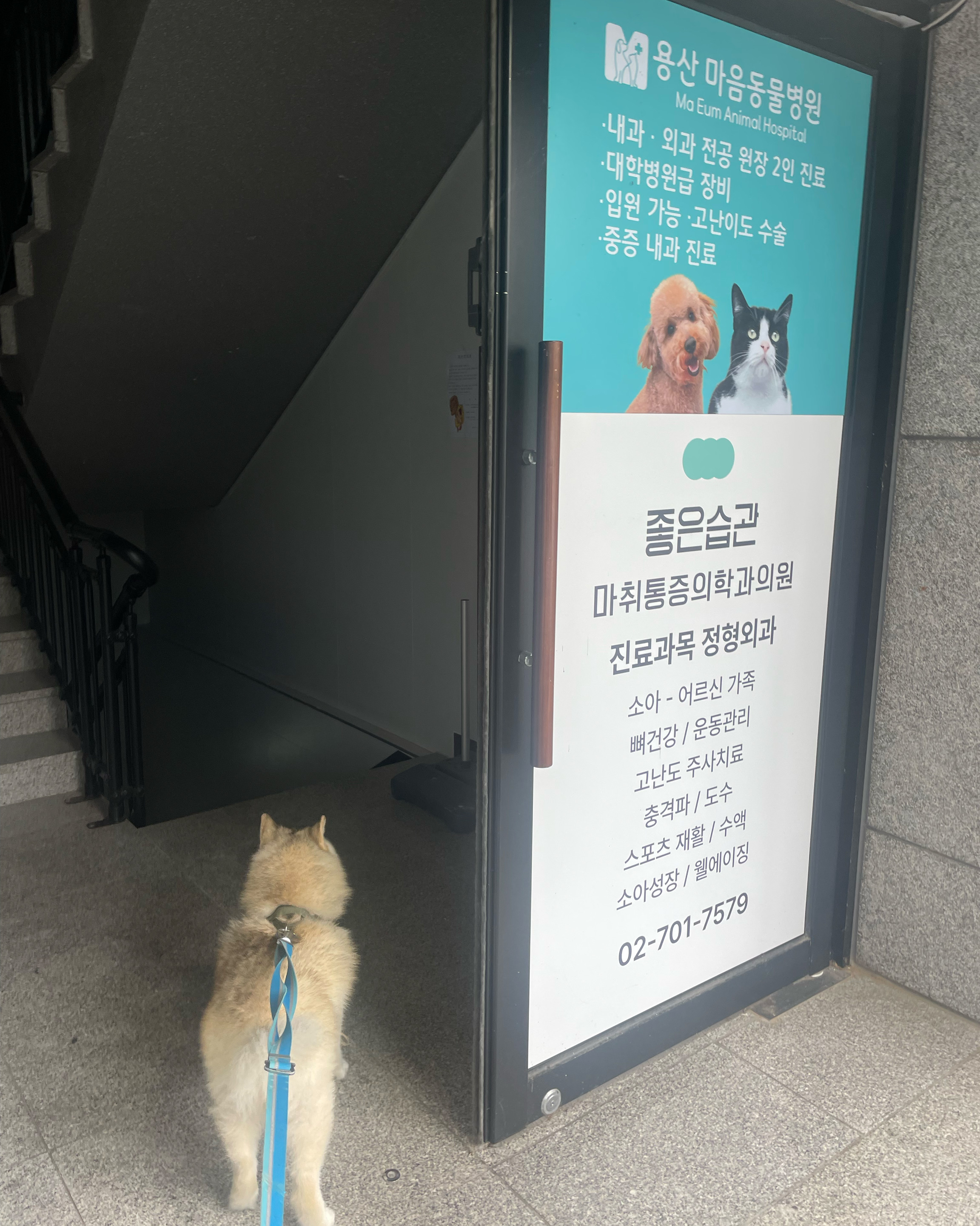 리뷰 사진 3