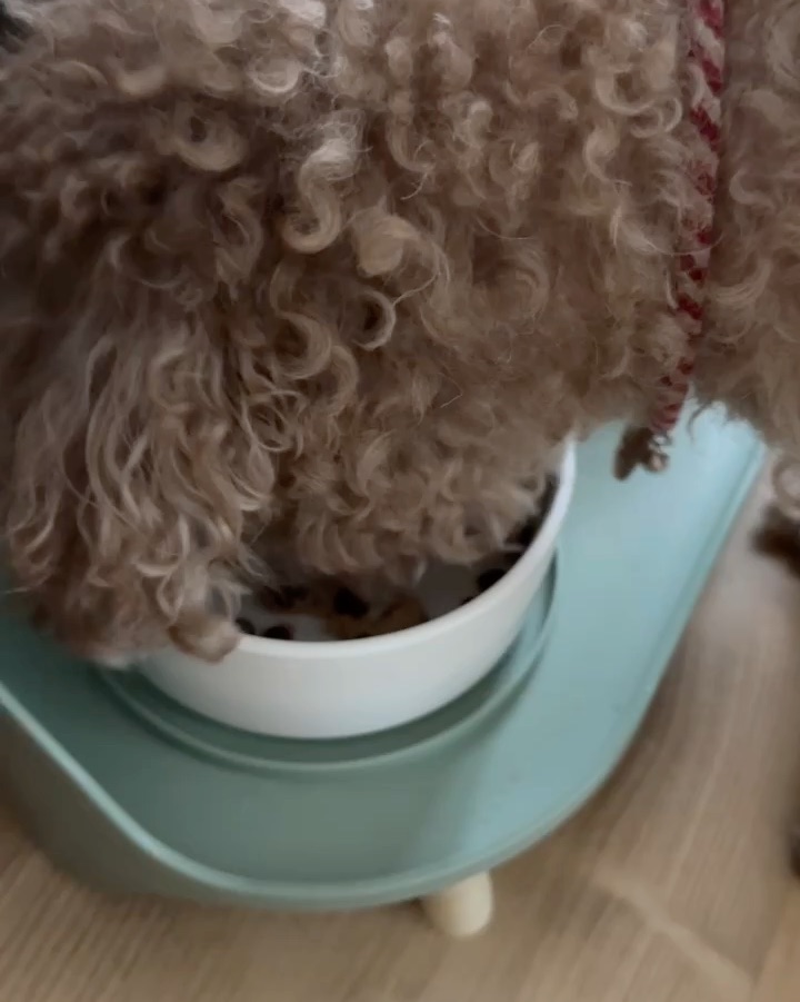 리뷰 사진 3
