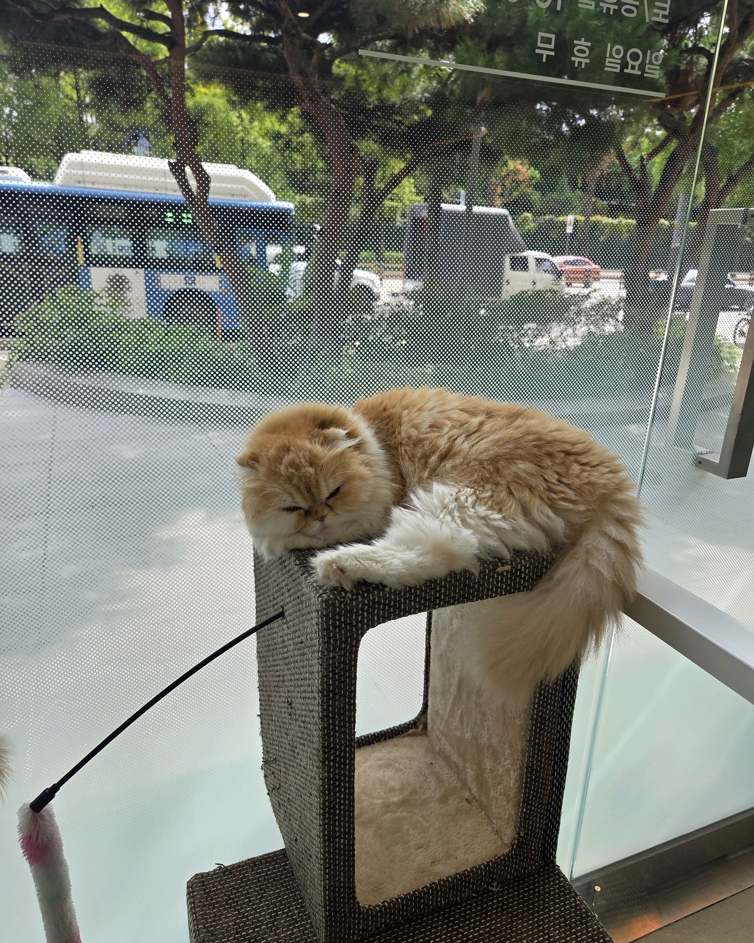 리뷰 사진 3