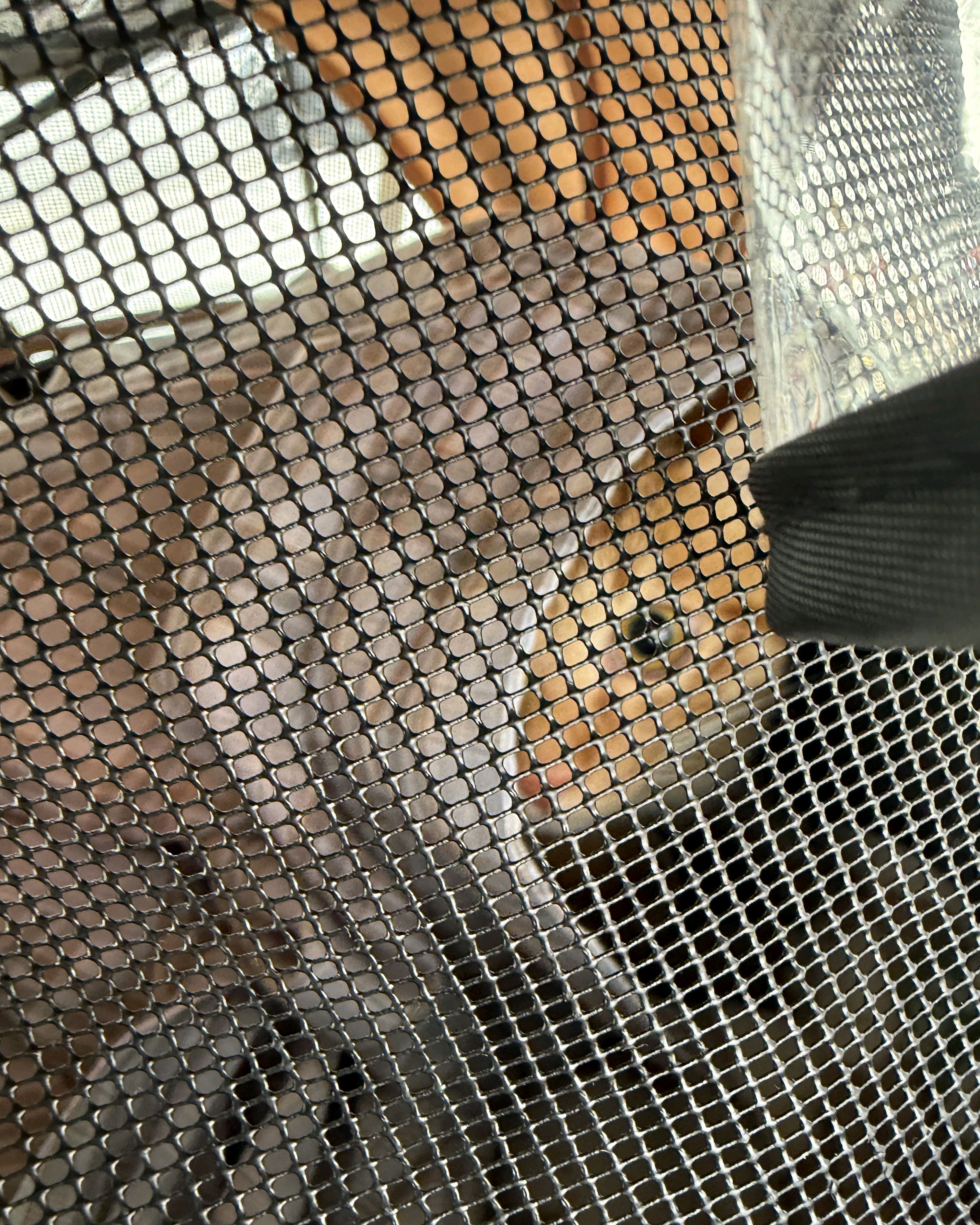 리뷰 사진 7