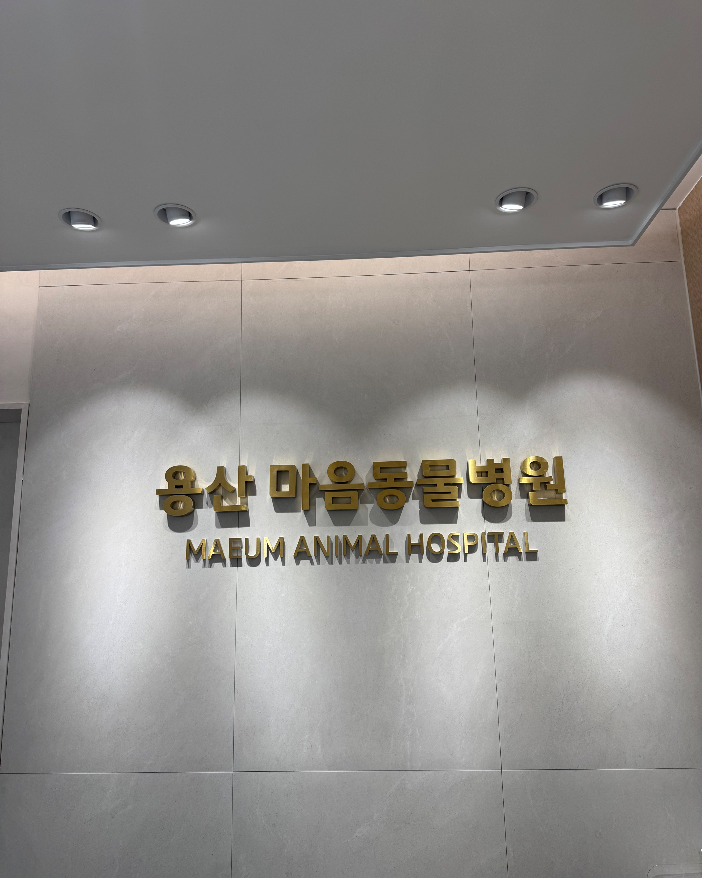 리뷰 사진 1
