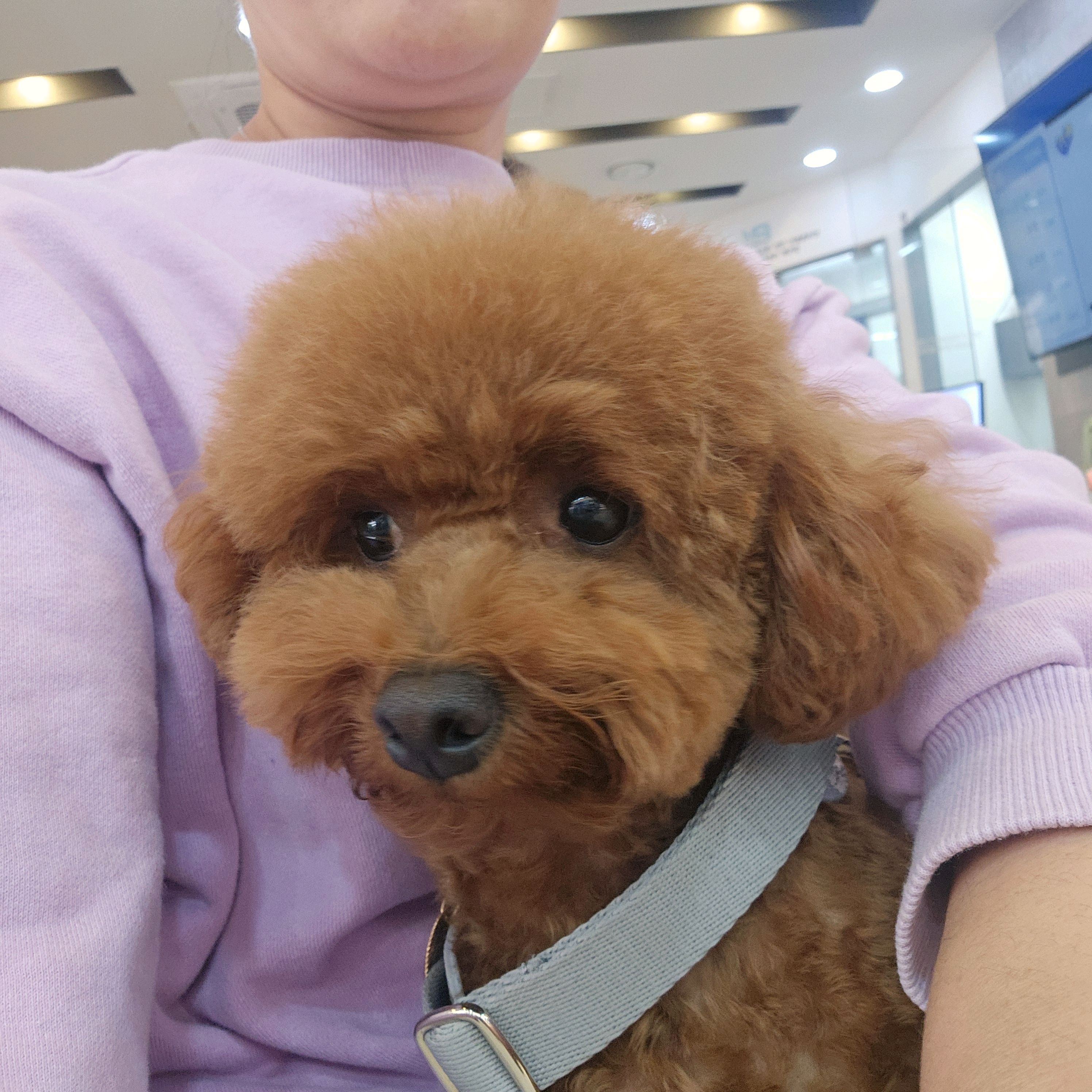 리뷰 사진 1