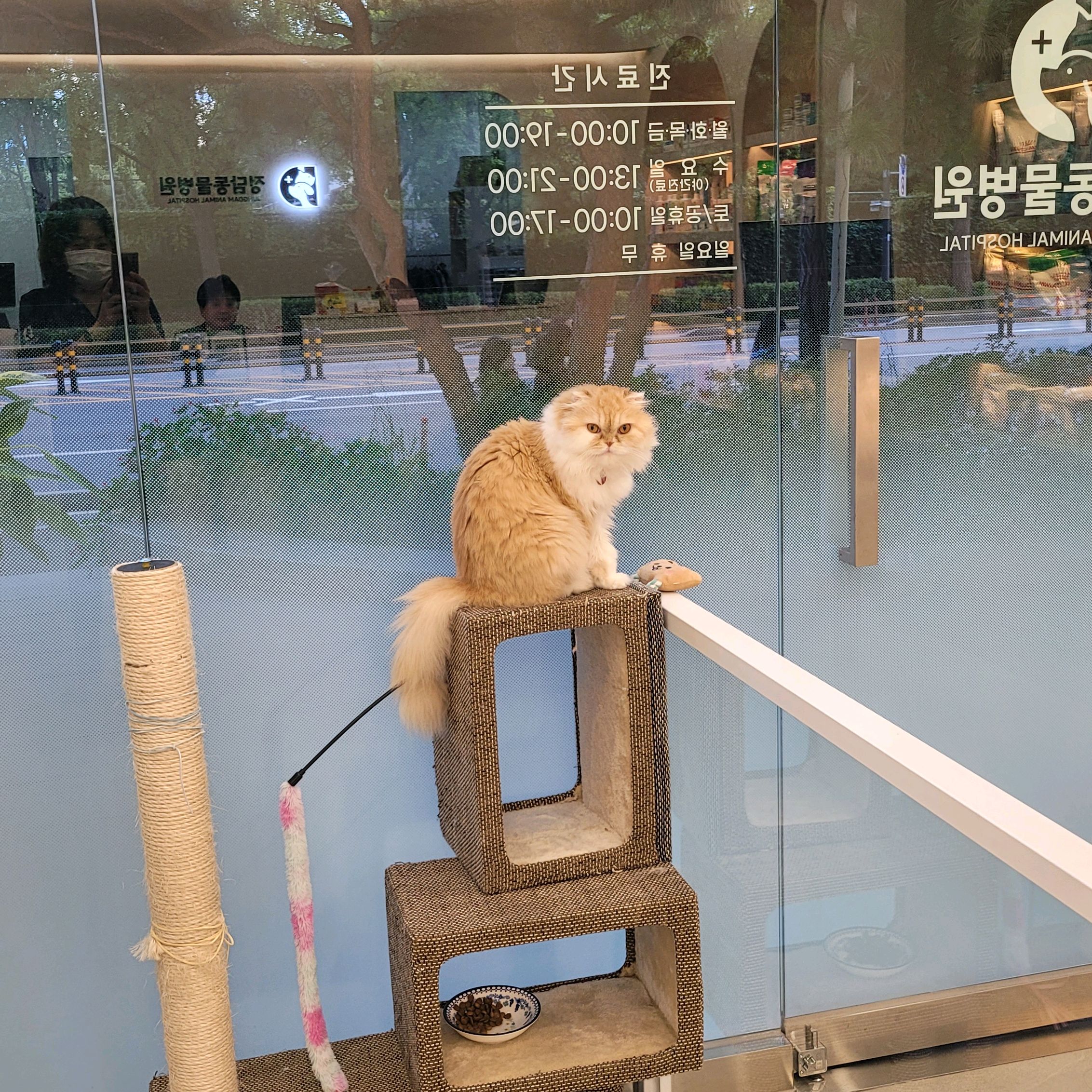 리뷰 사진 1