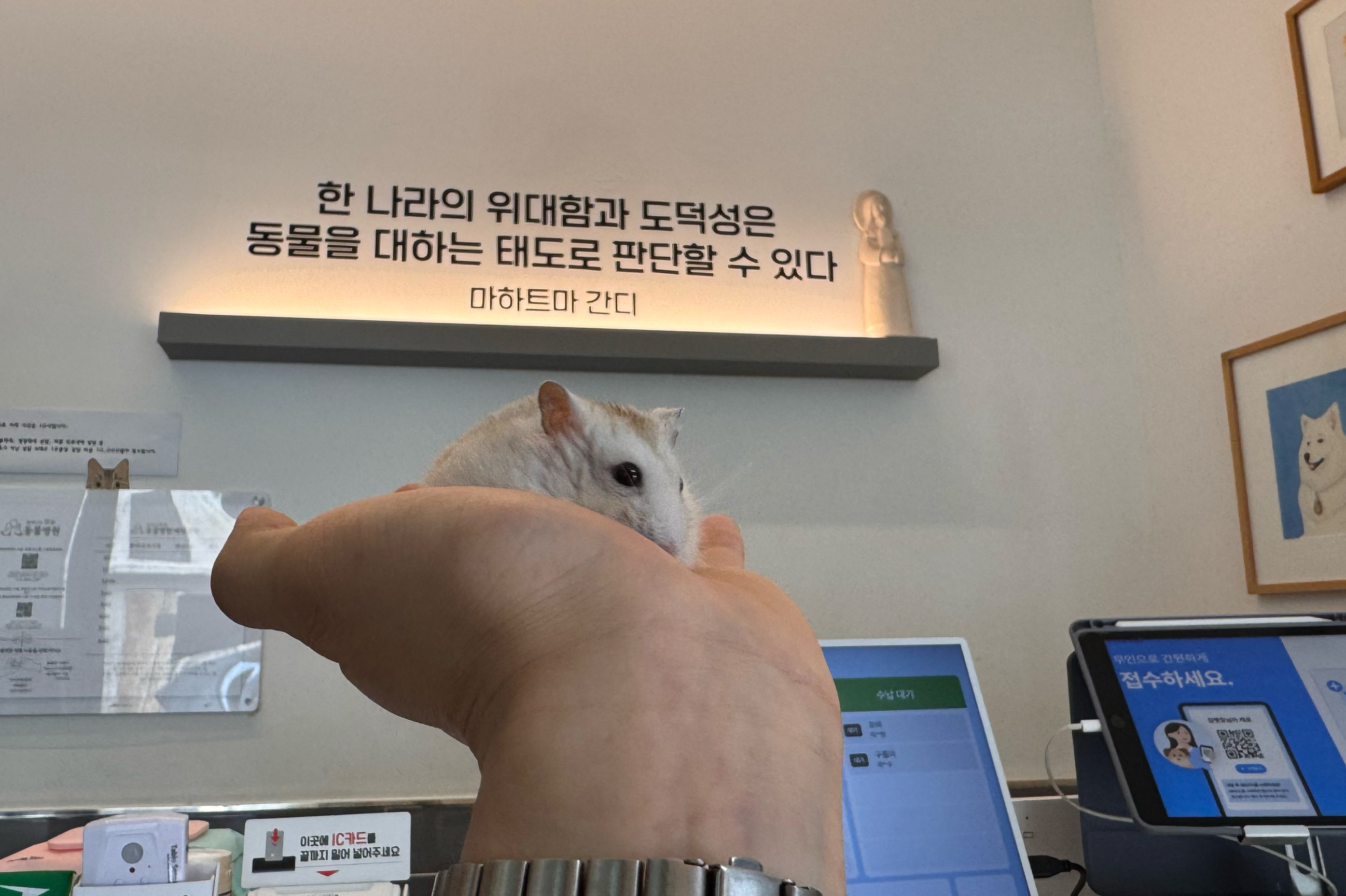 리뷰 사진 1