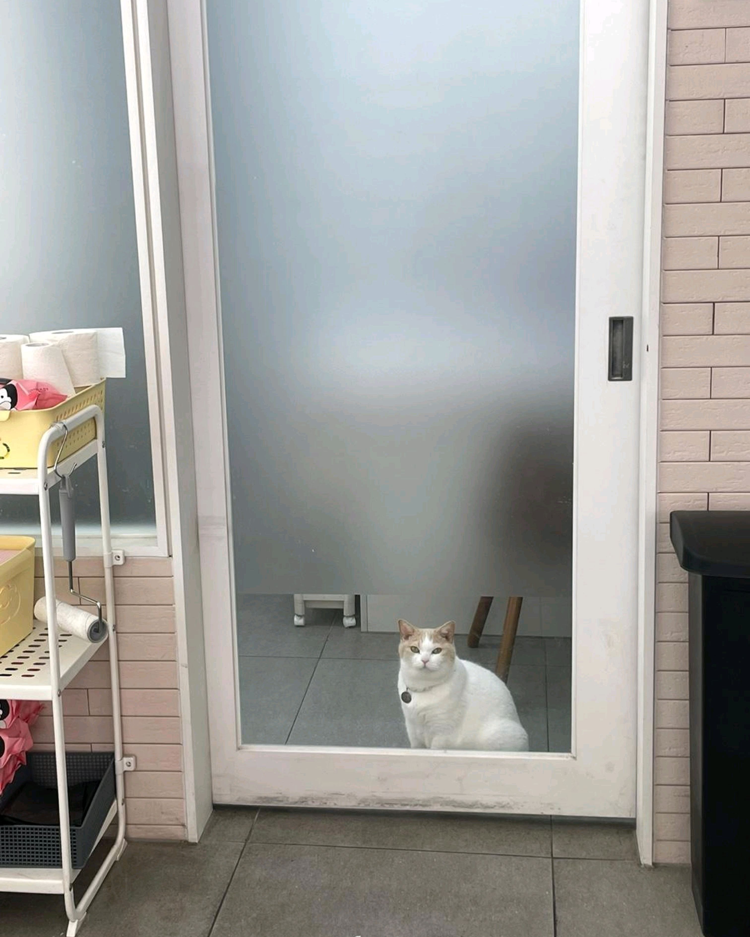 리뷰 사진 1