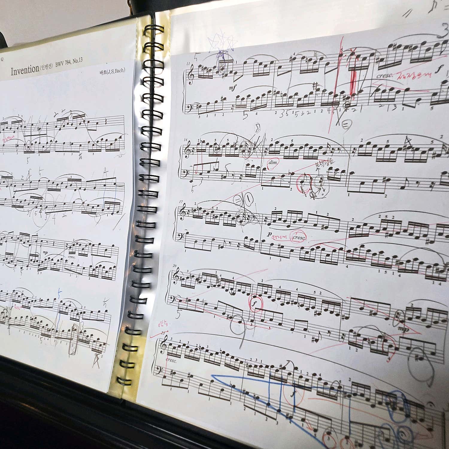 2번째 스튜디오 사진