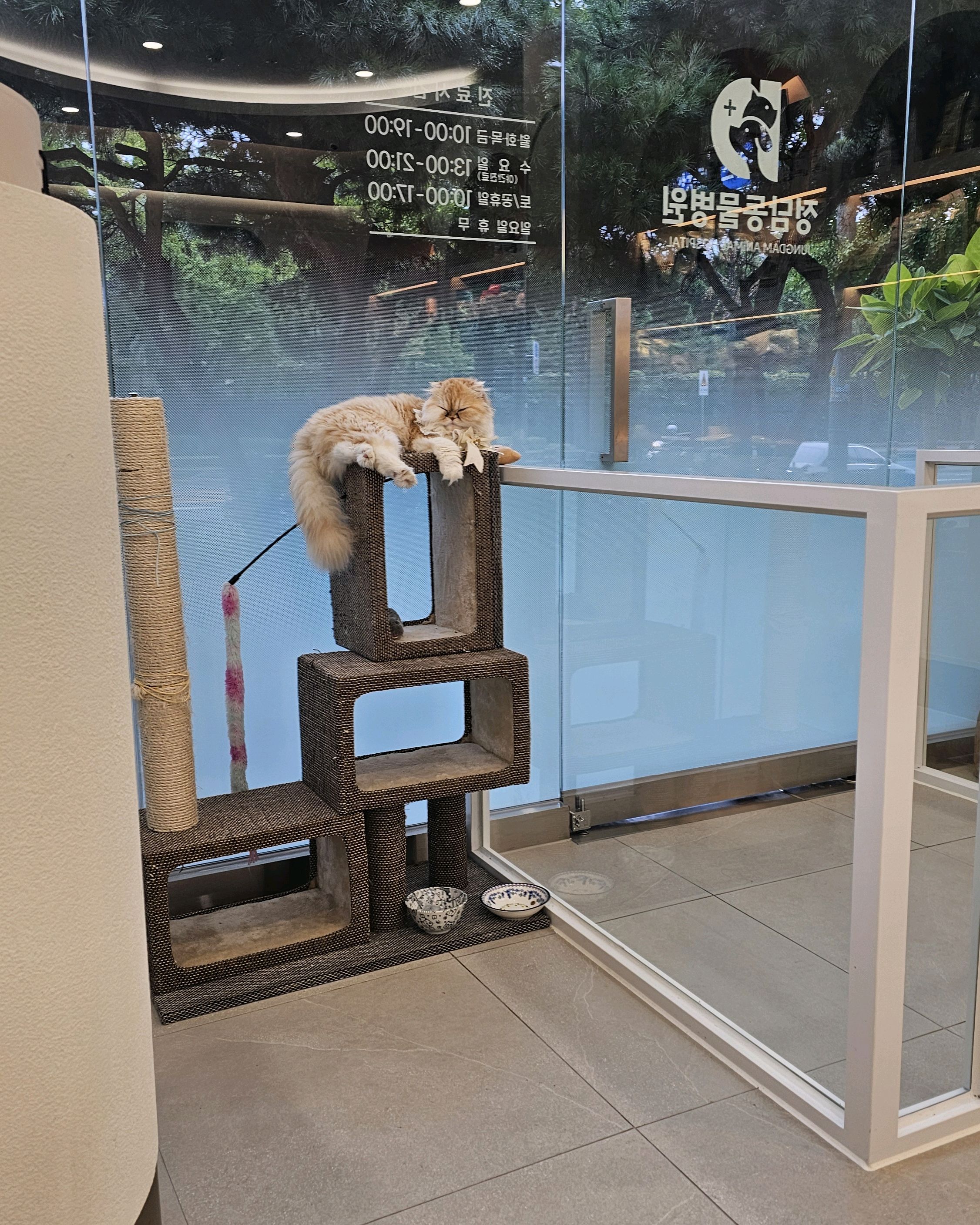 리뷰 사진 1