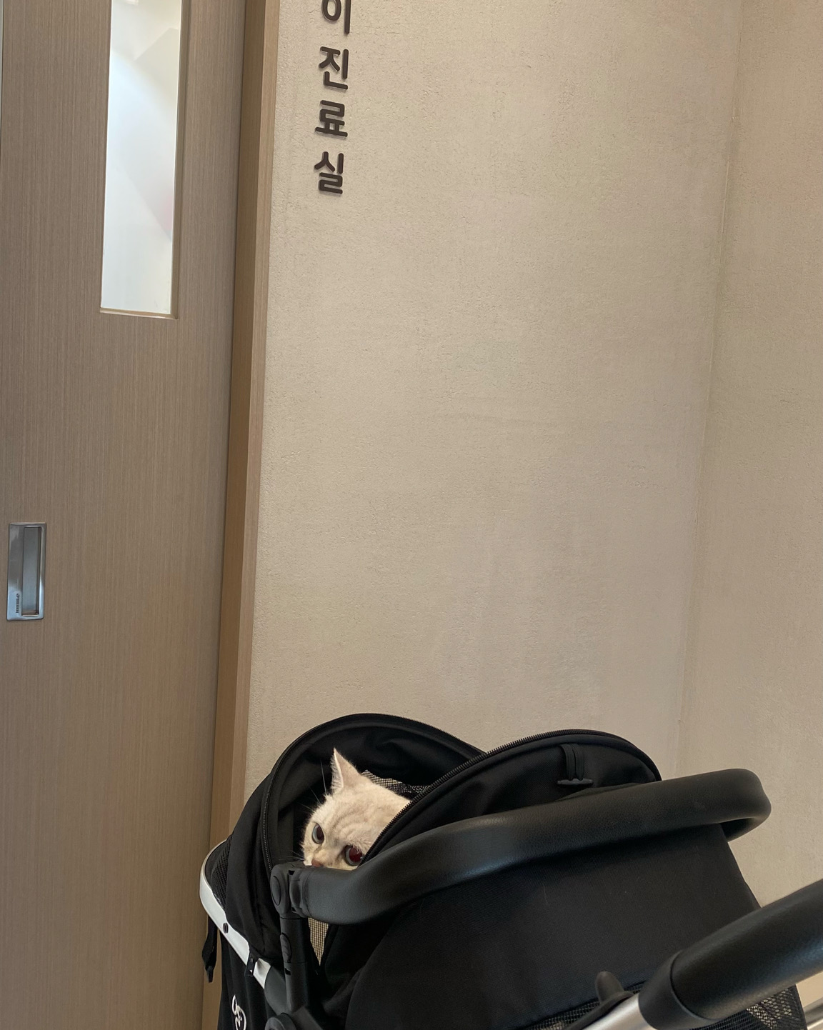 리뷰 사진 1