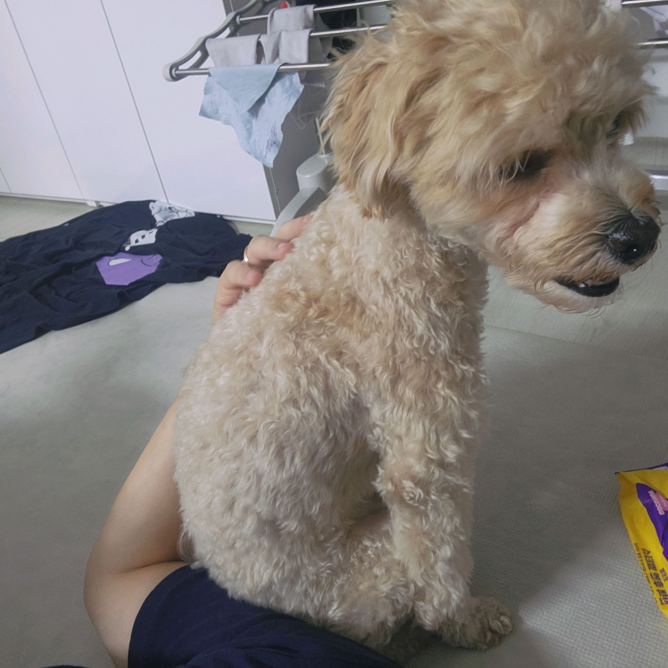 리뷰 사진 1