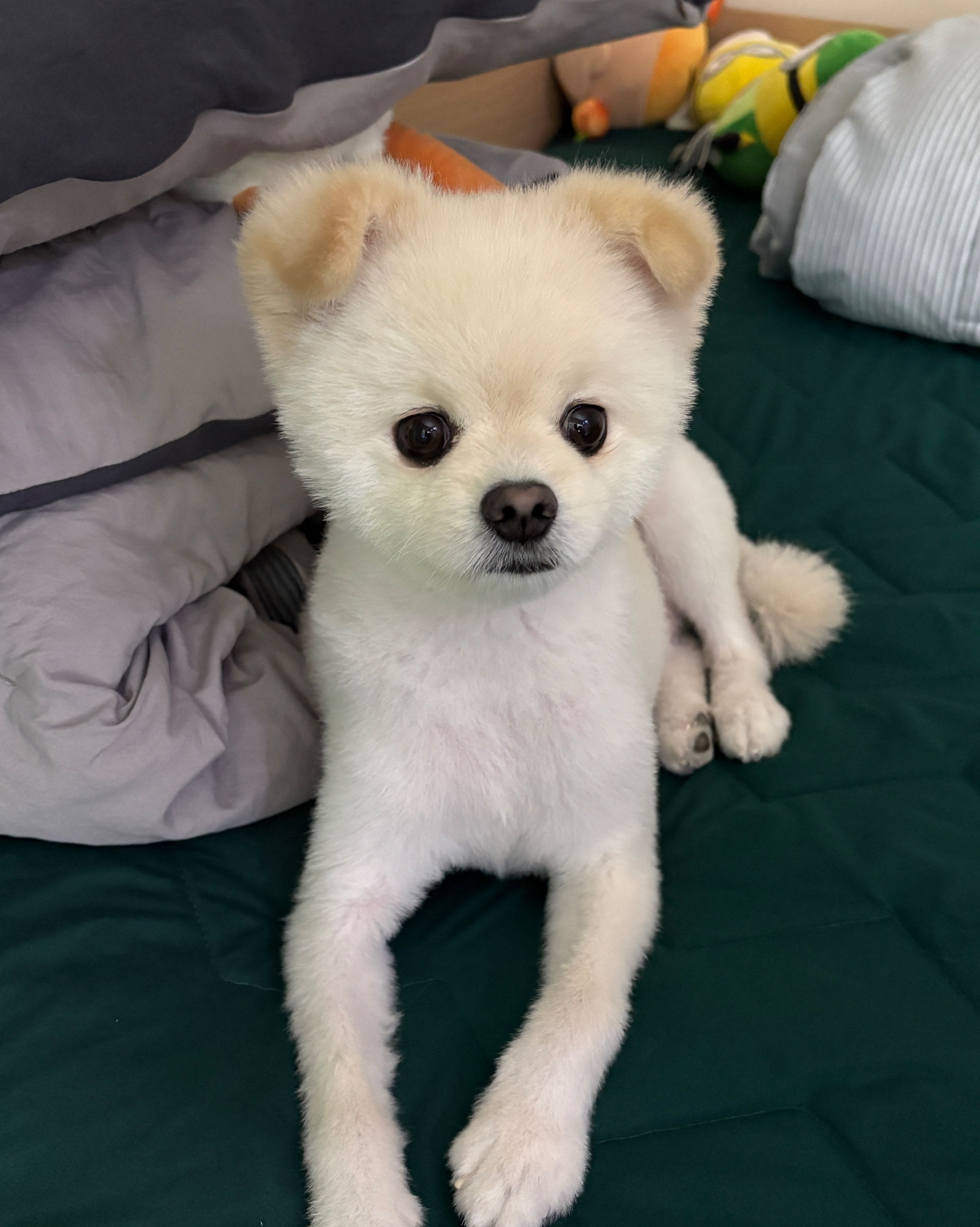 리뷰 사진 2