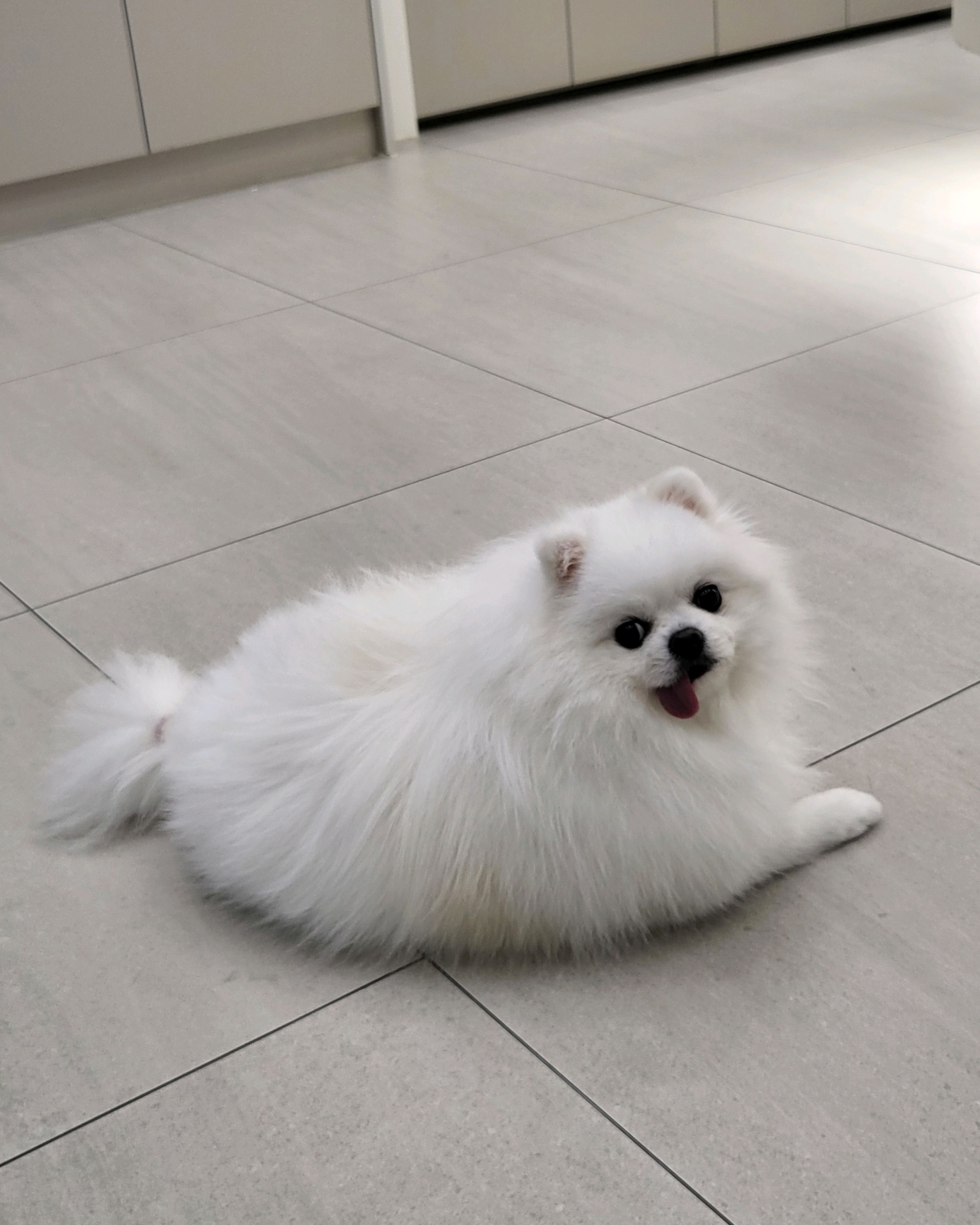 리뷰 사진 3