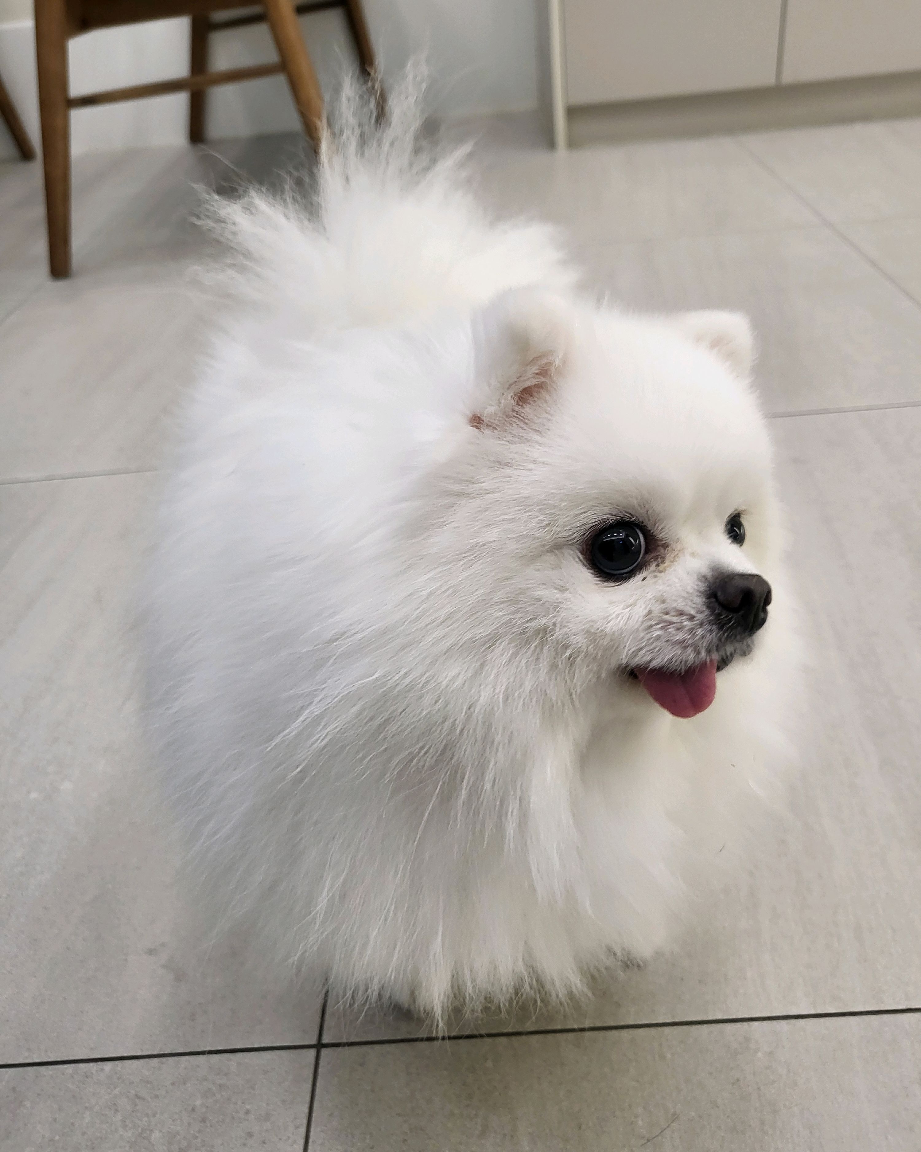 리뷰 사진 2