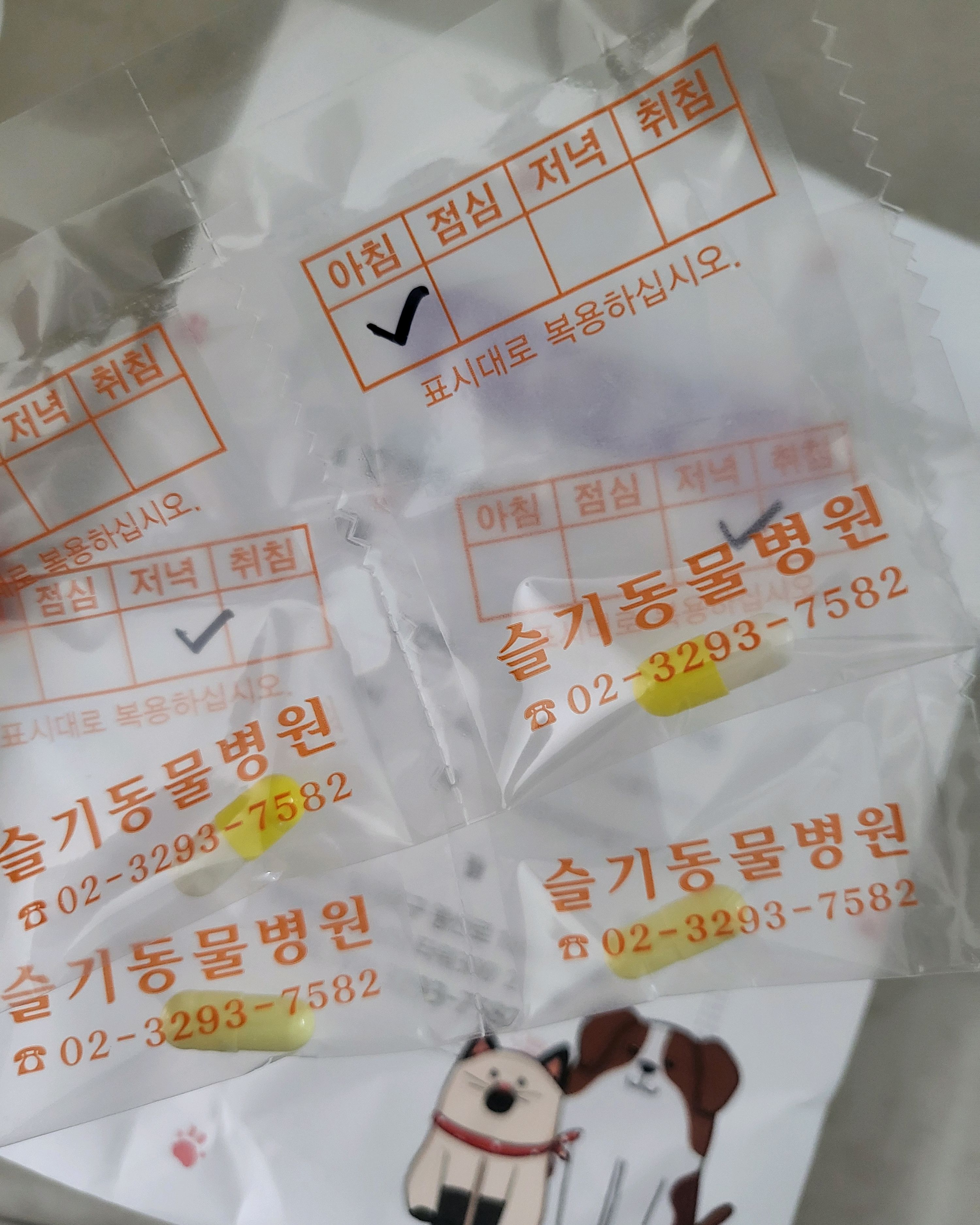 리뷰 사진 1