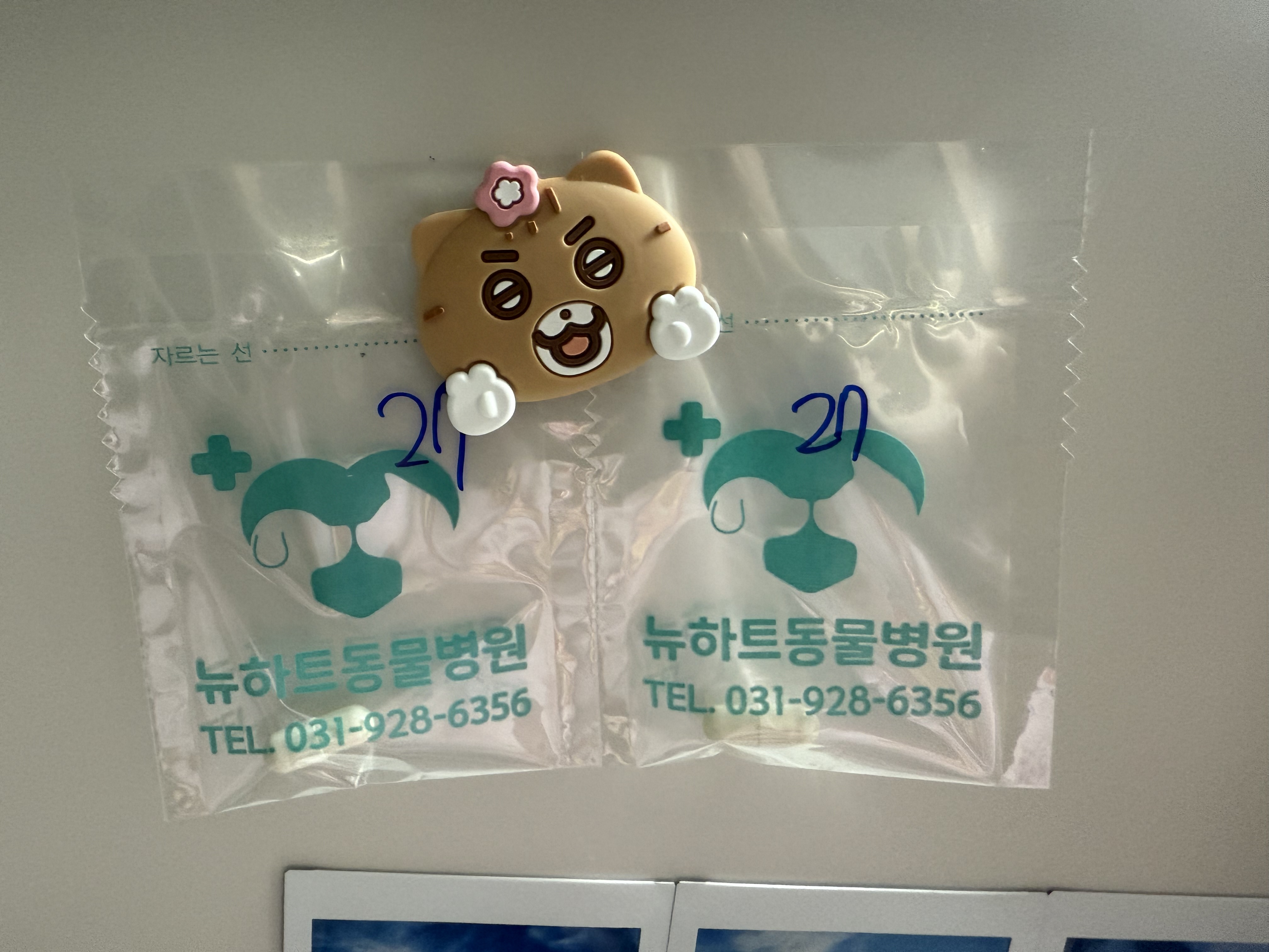 뉴하트동물병원 사진 5