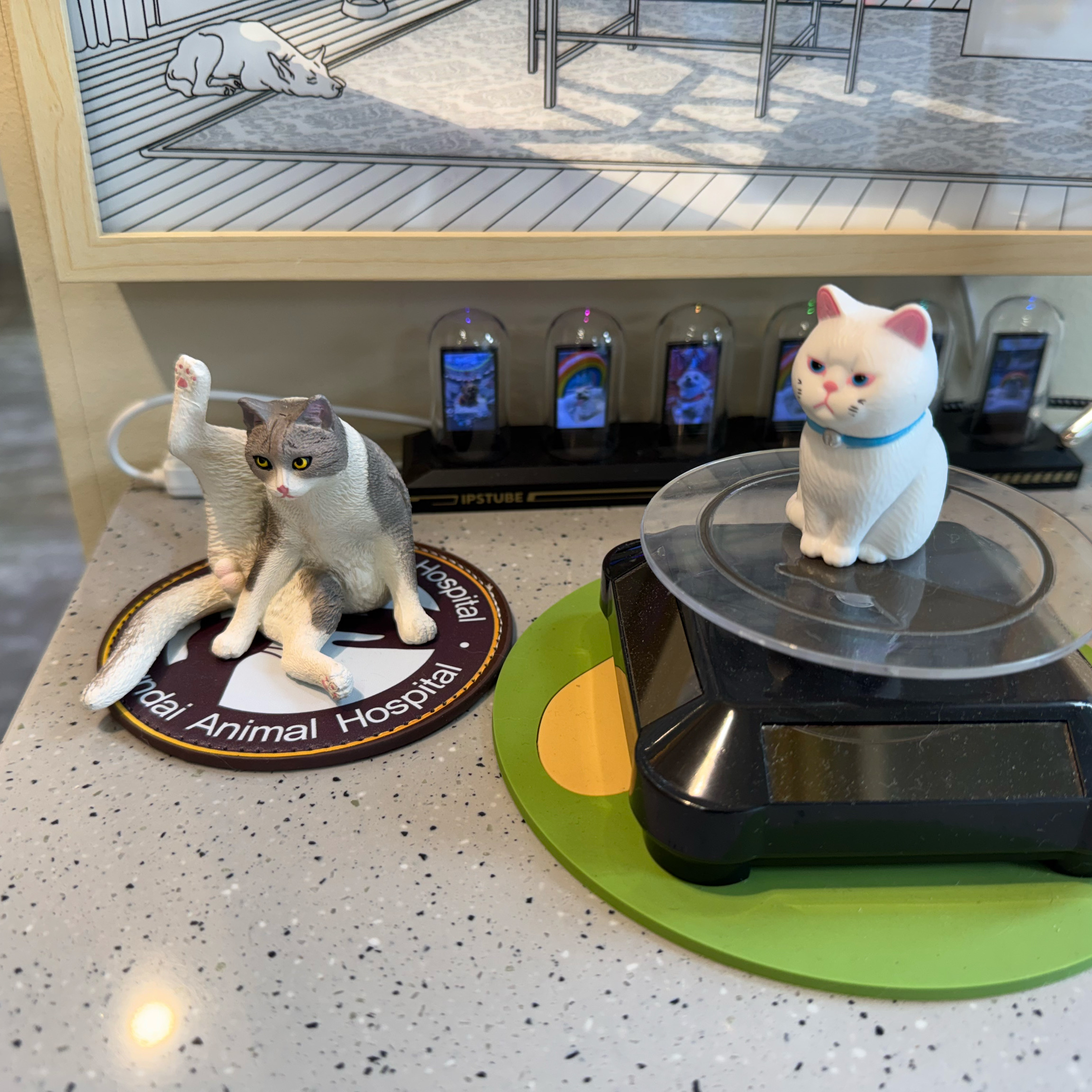 리뷰 사진 2