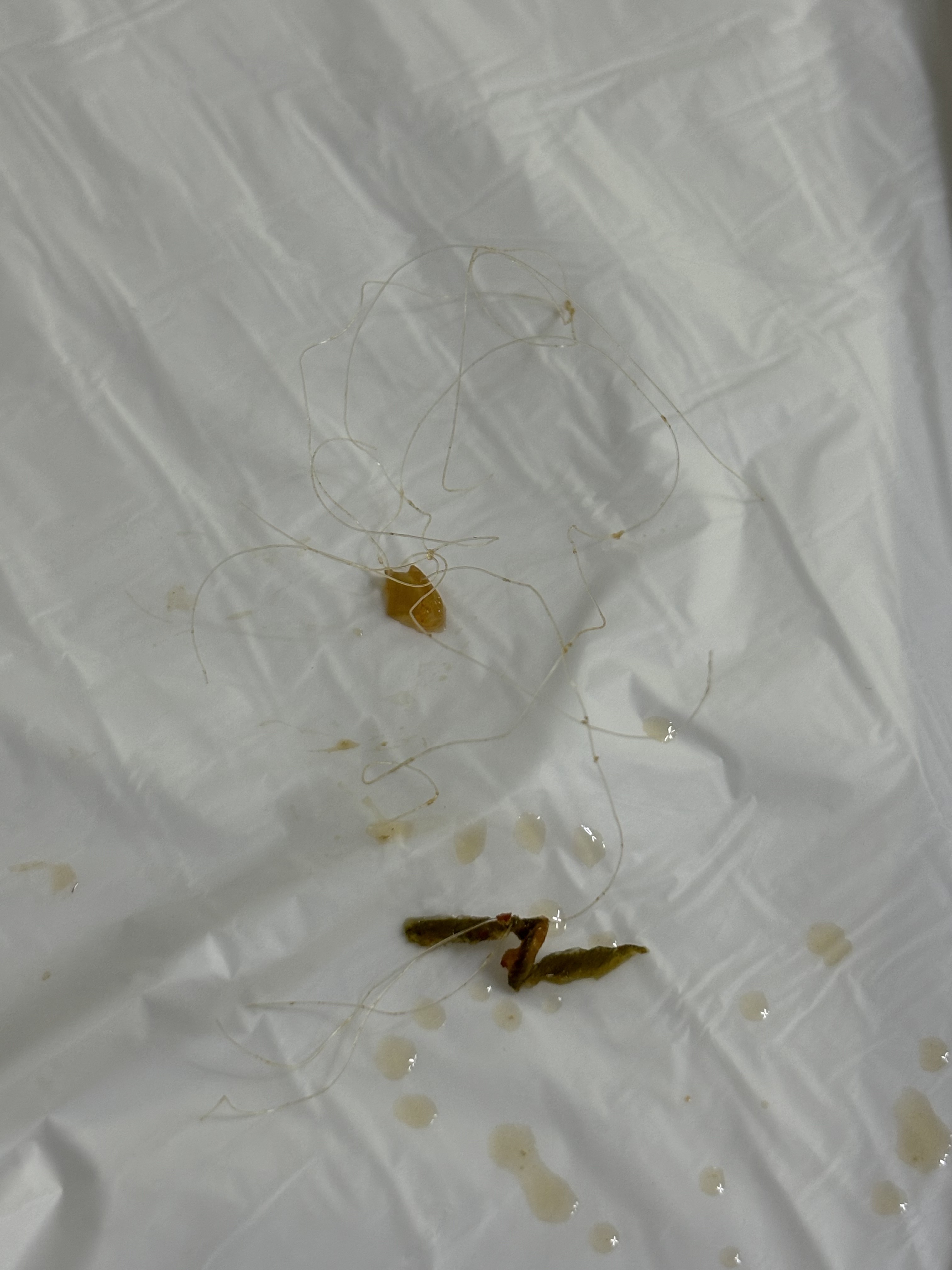 [동해 맛집 꽃게해장국] 직접 가본 로컬 리뷰