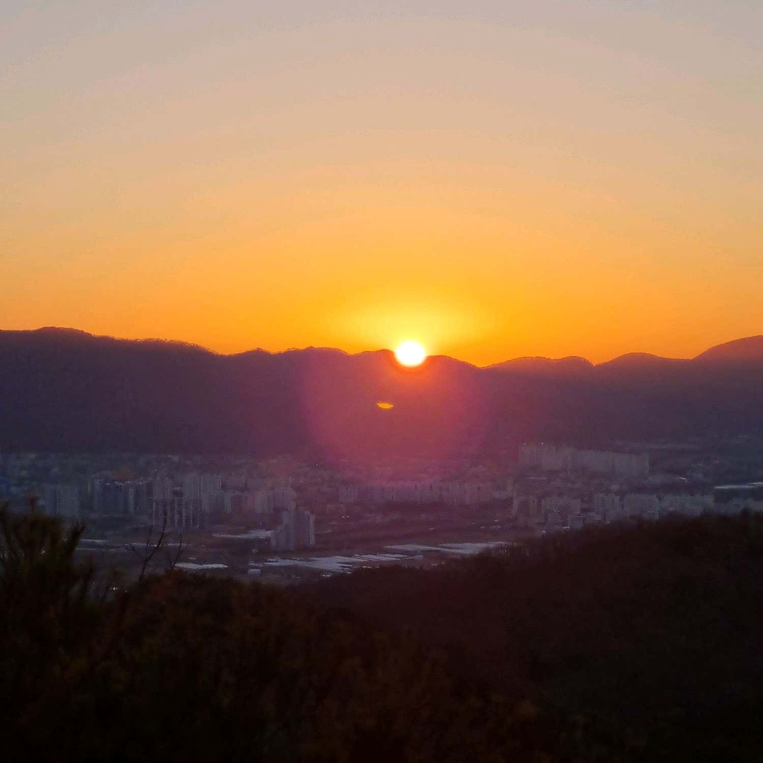 울산시티병원