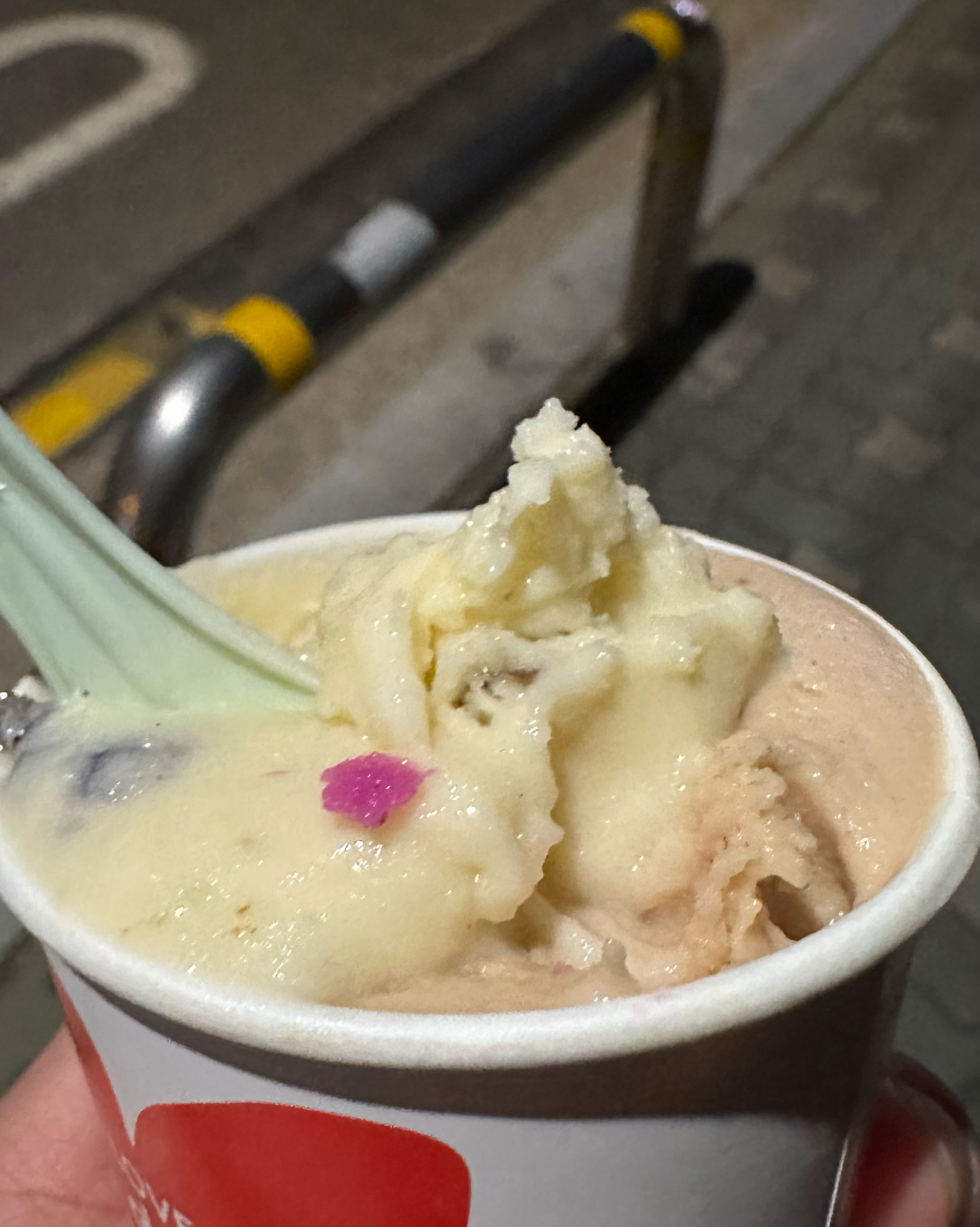 개암나무열매(헤이즐넛), 말라가 먹었고 맛보기는 레드용과였던 것 같아요. 전체적으로 크리미