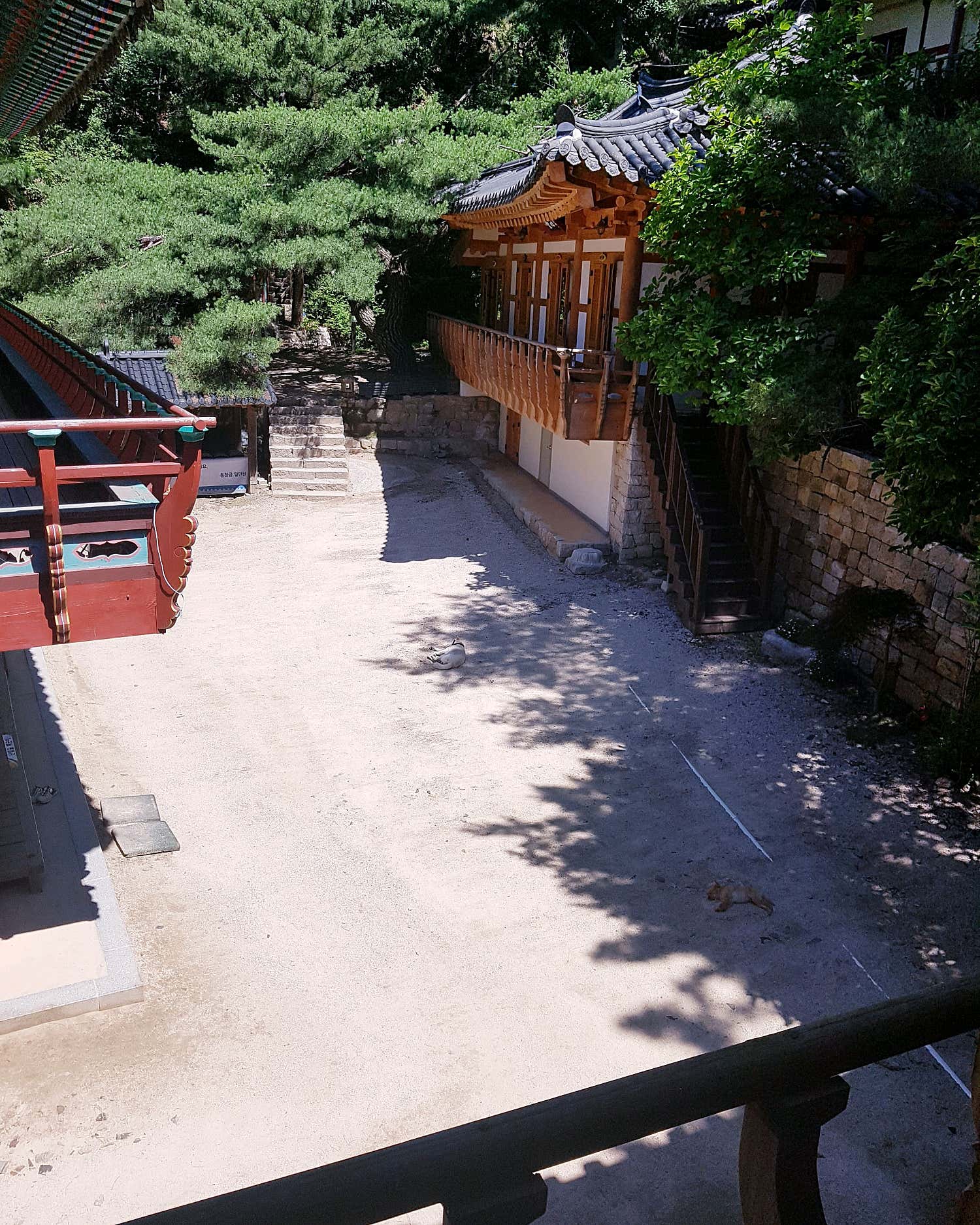 리뷰 μ΄λ―Έμ§ 3