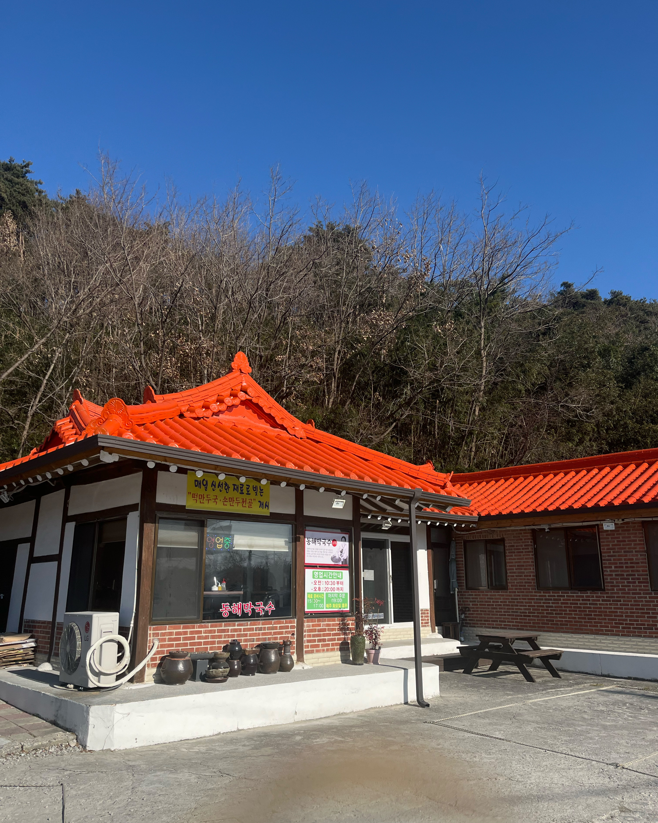 [강릉 맛집 본가동해막국수] 직접 가본 로컬 리뷰