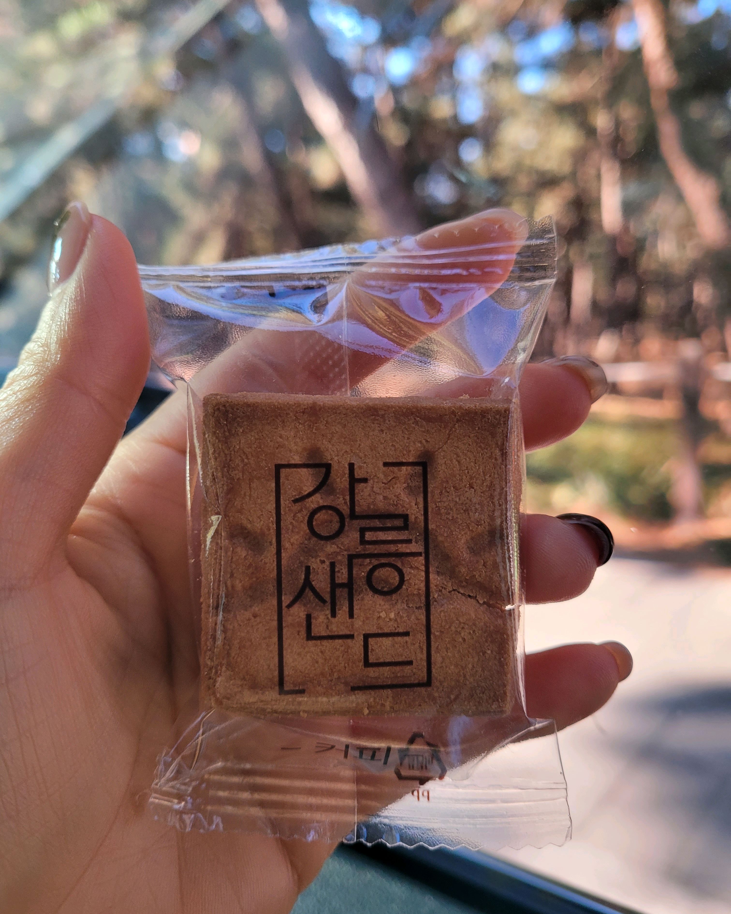 [강릉 맛집 강릉샌드 안목해변점] 직접 가본 로컬 리뷰