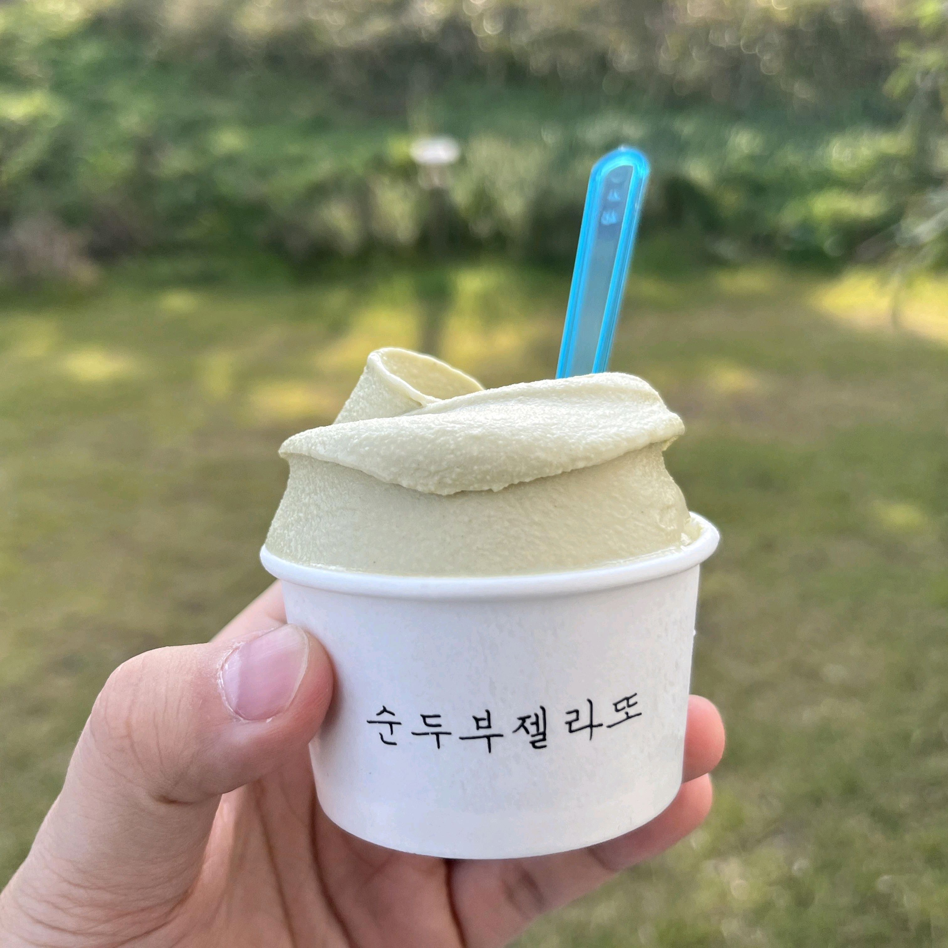 [강릉 맛집 순두부젤라또 2호점] 직접 가본 로컬 리뷰