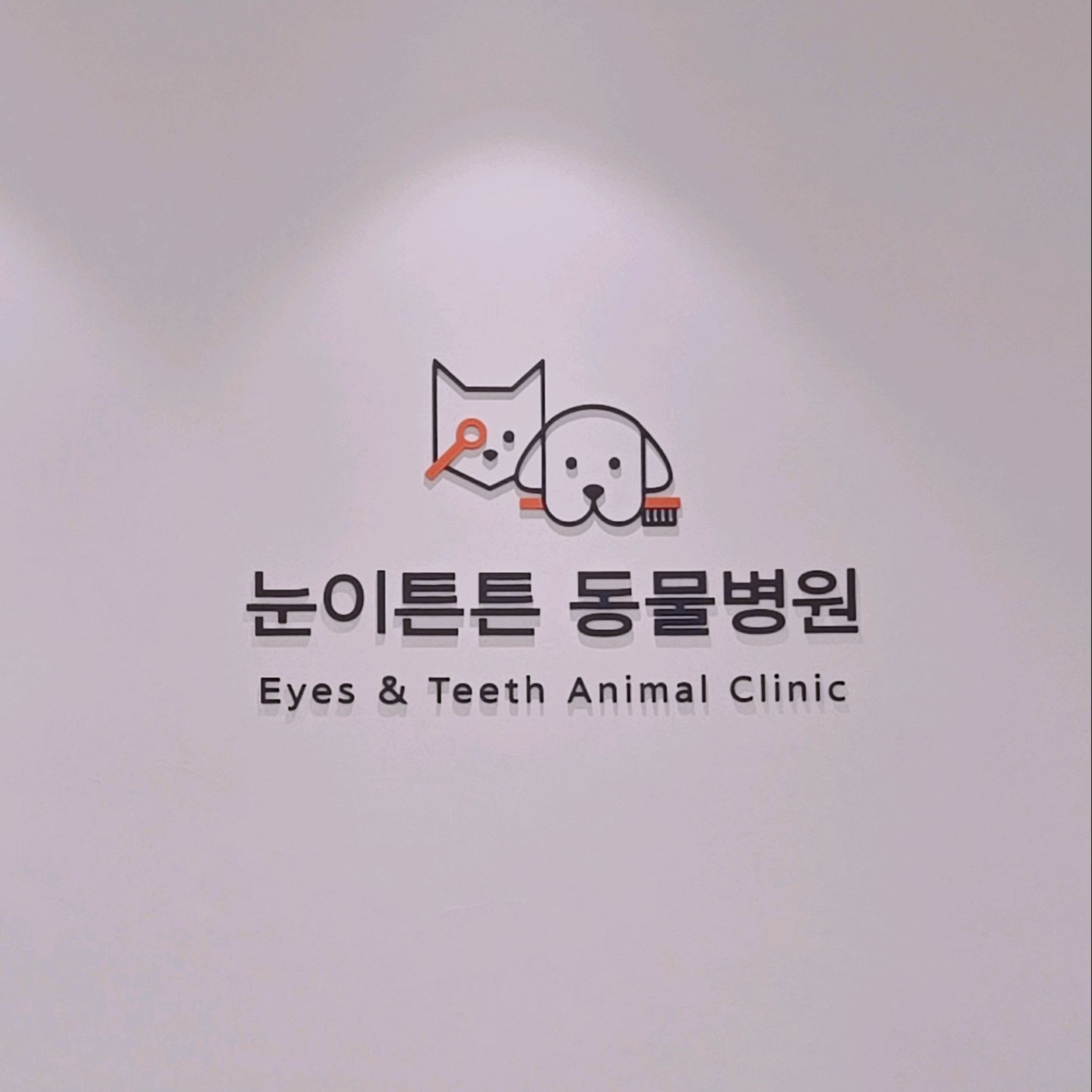 눈이튼튼 동물병원 사진 5