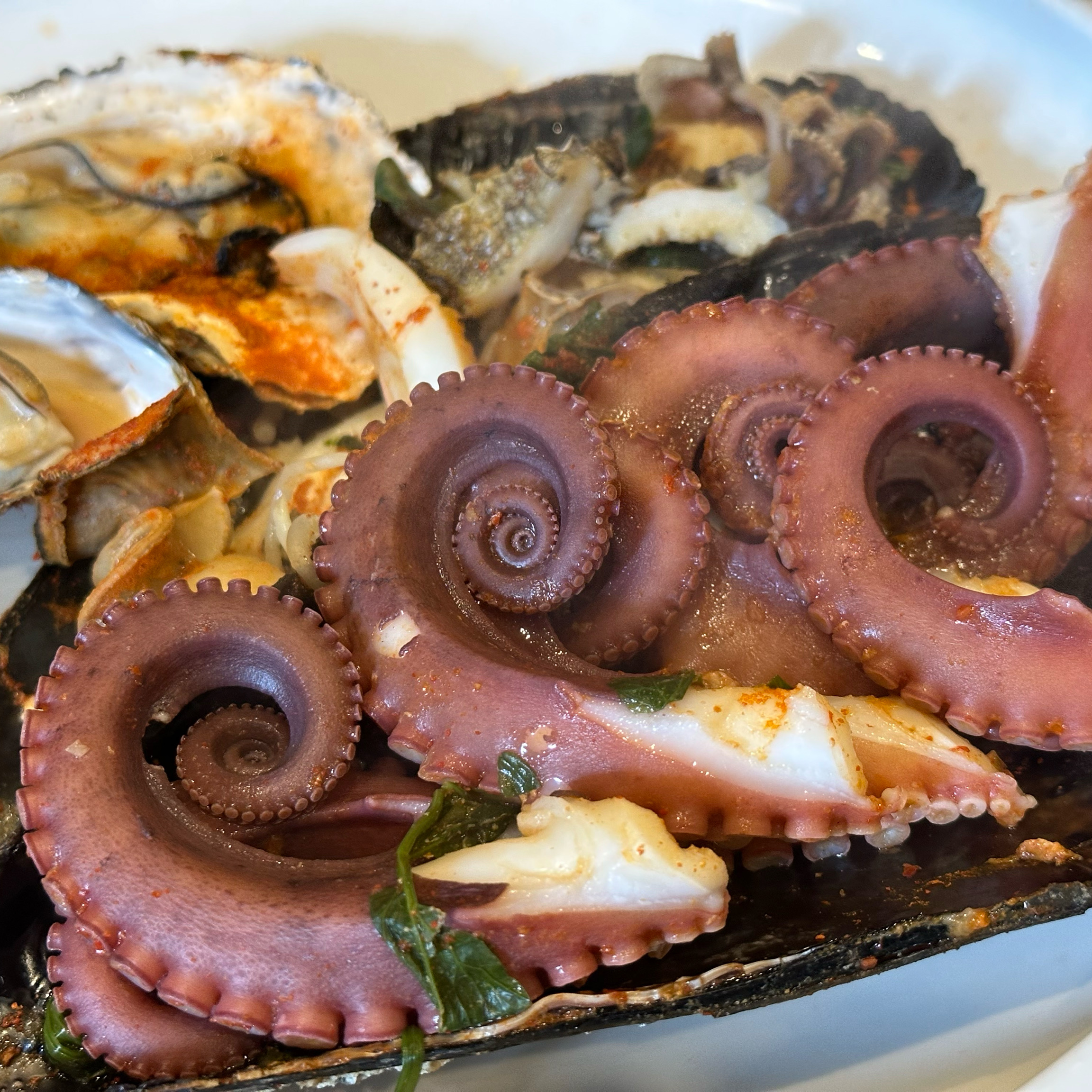  녹천역 맛집 섭생정식 창동본점