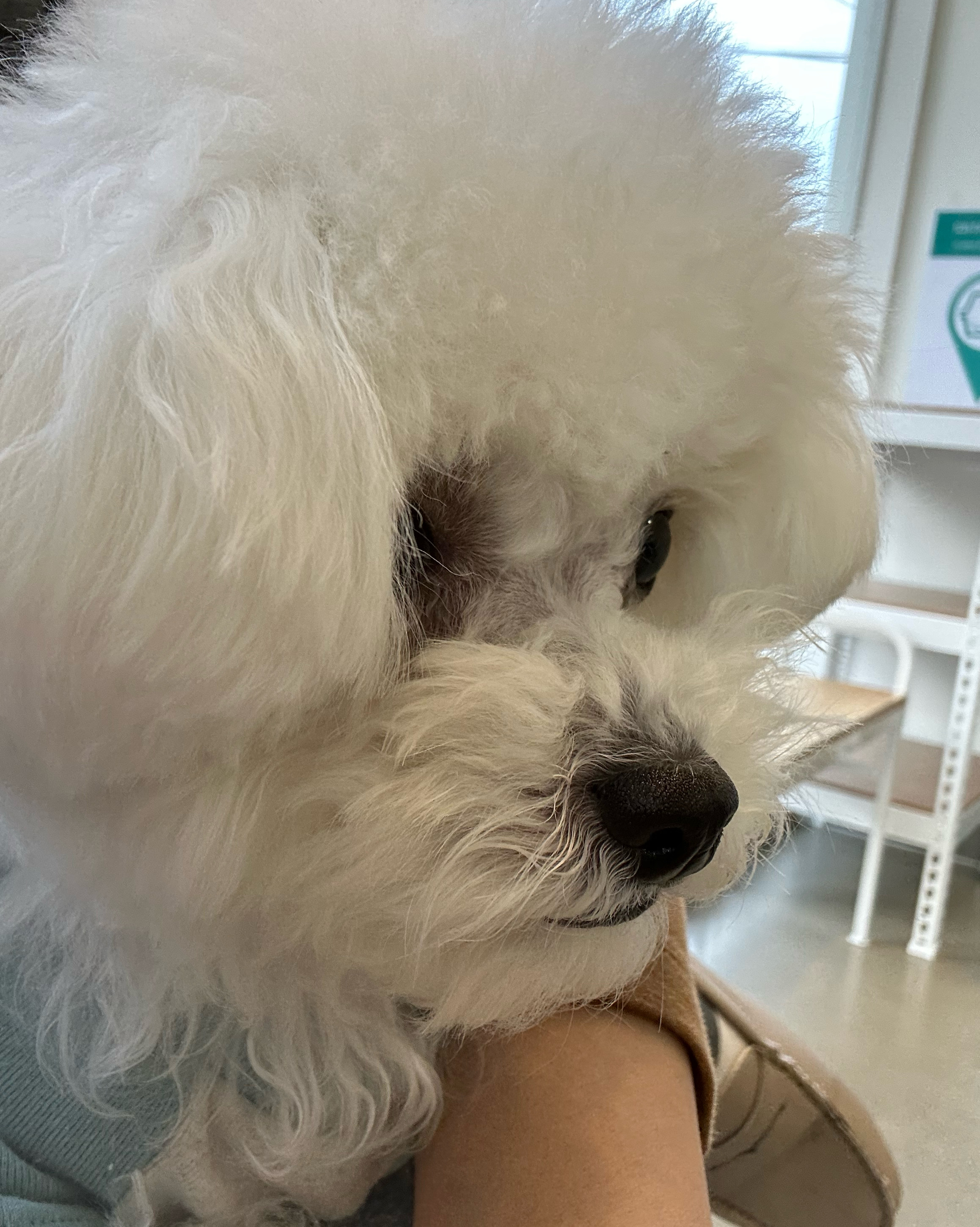 리뷰 사진 1