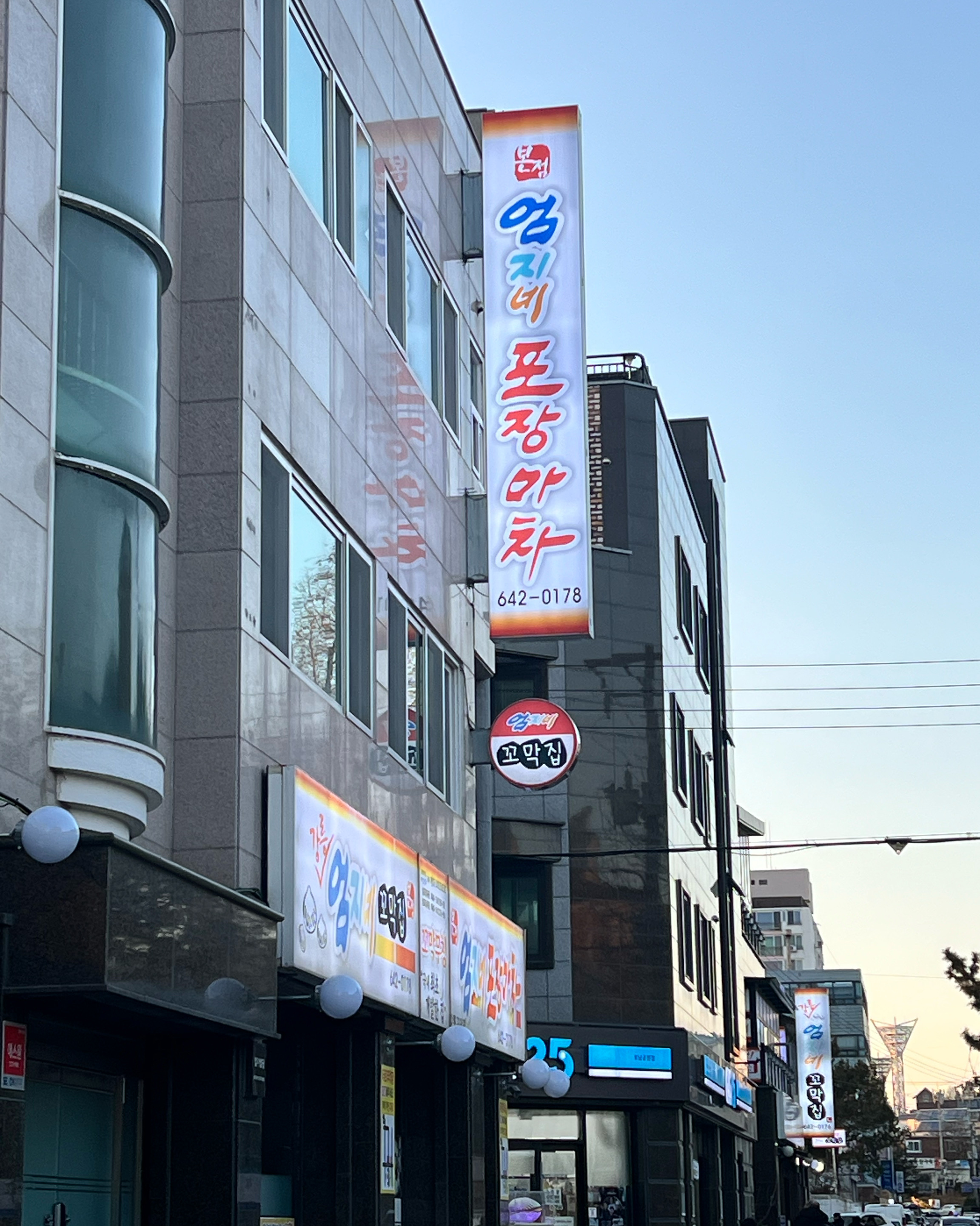 [강릉 맛집 강릉엄지네꼬막집 1호점] 직접 가본 로컬 리뷰