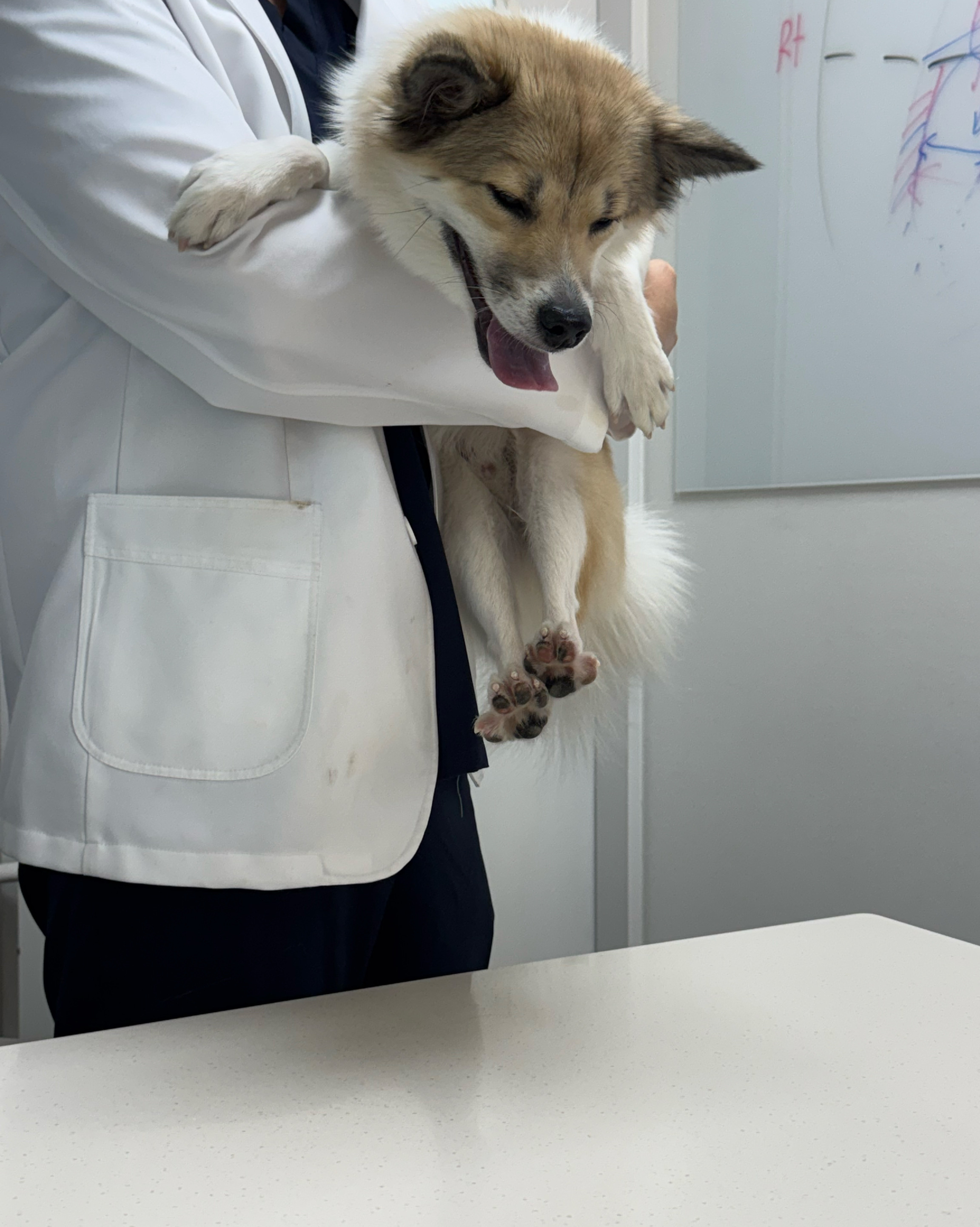 리뷰 사진 1